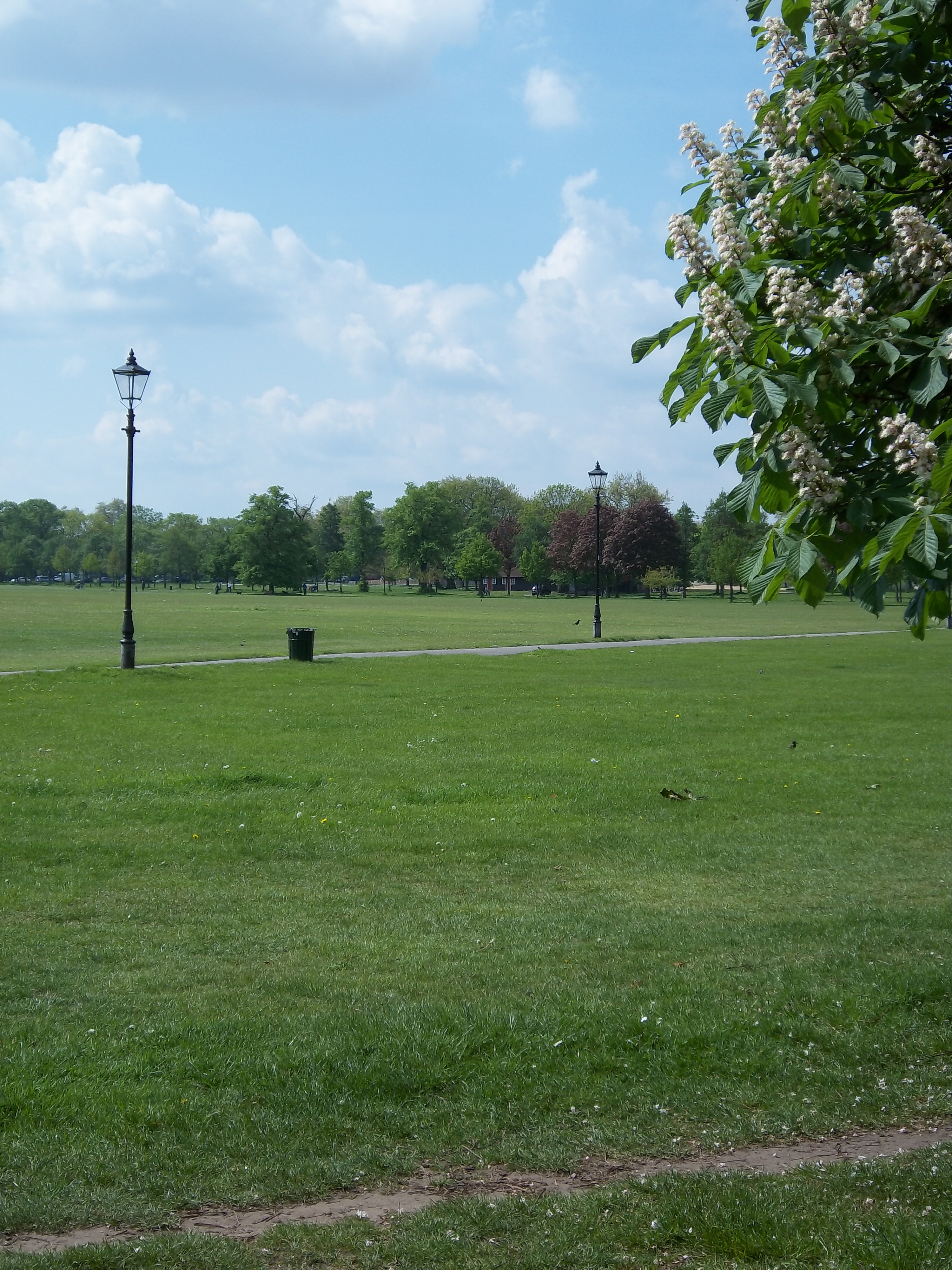 Kodak EASYSHARE M550 review sample image