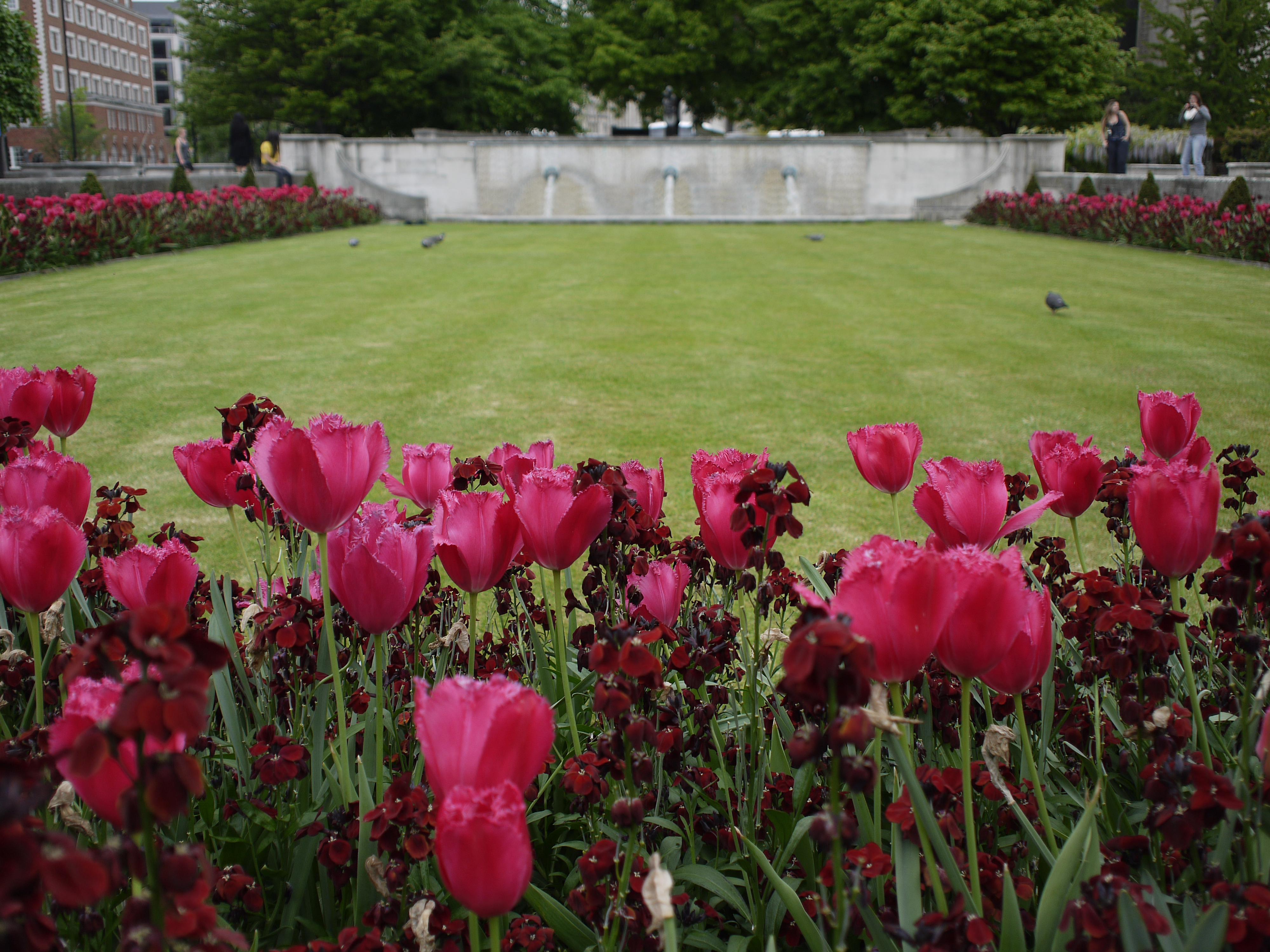 Panasonic Lumix G2 review sample image