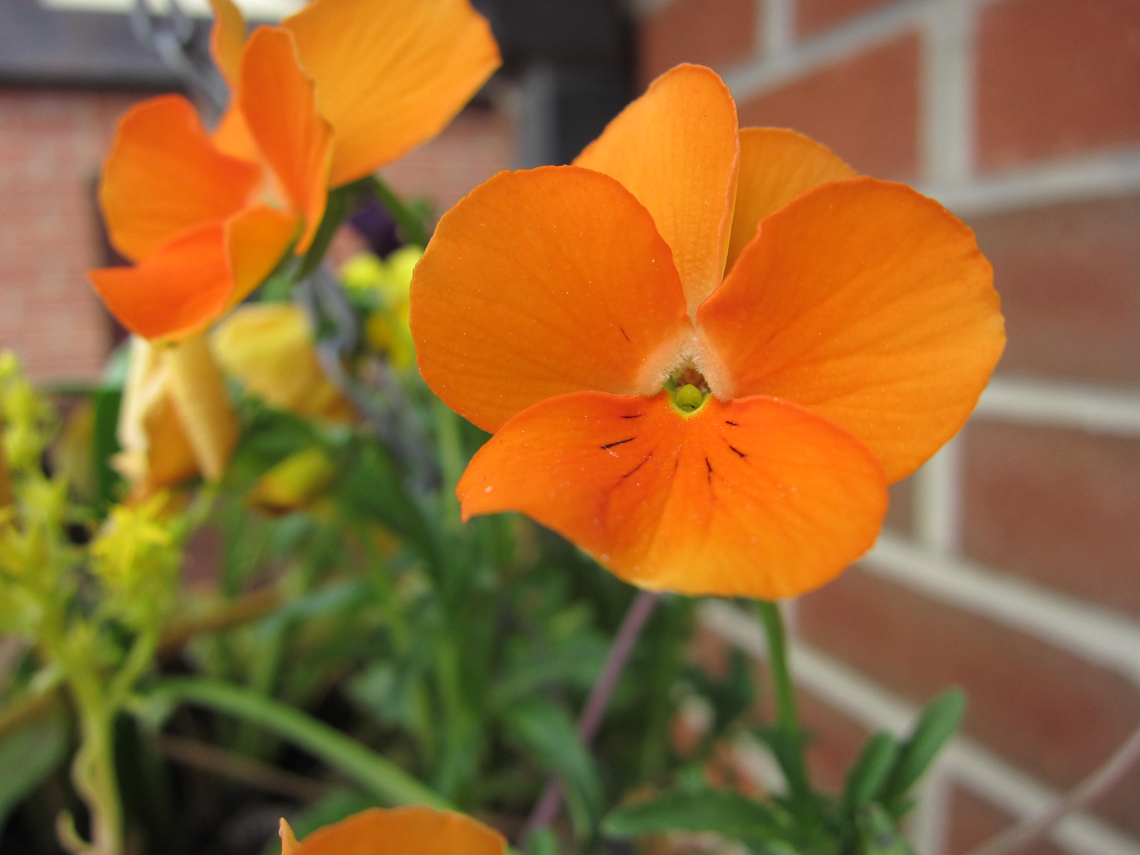 Canon IXUS 300 HS Test shot