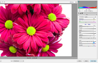 Adobe camera raw interface