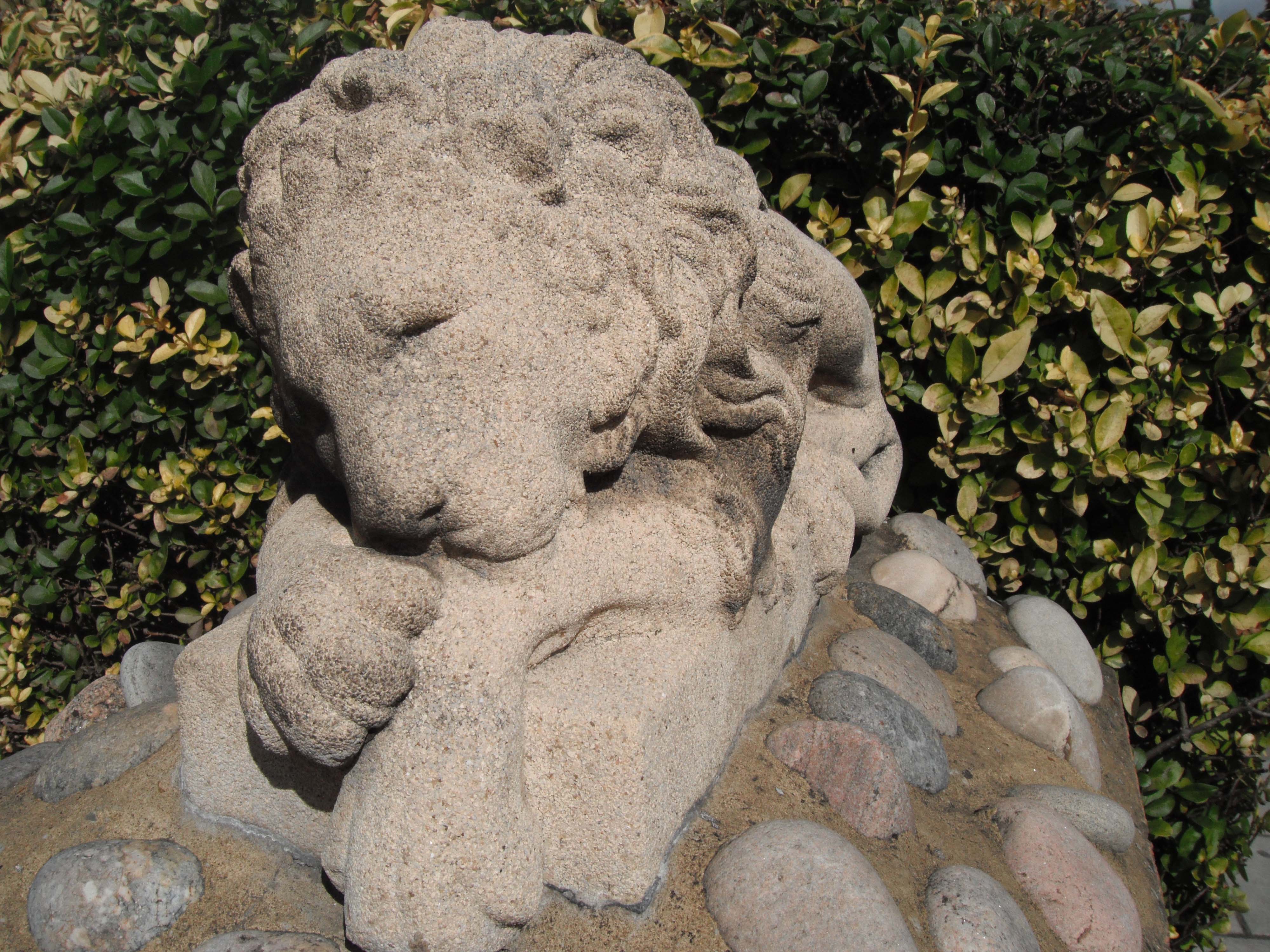 Fuji Z70 sample image - lion