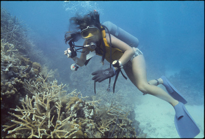 underwater