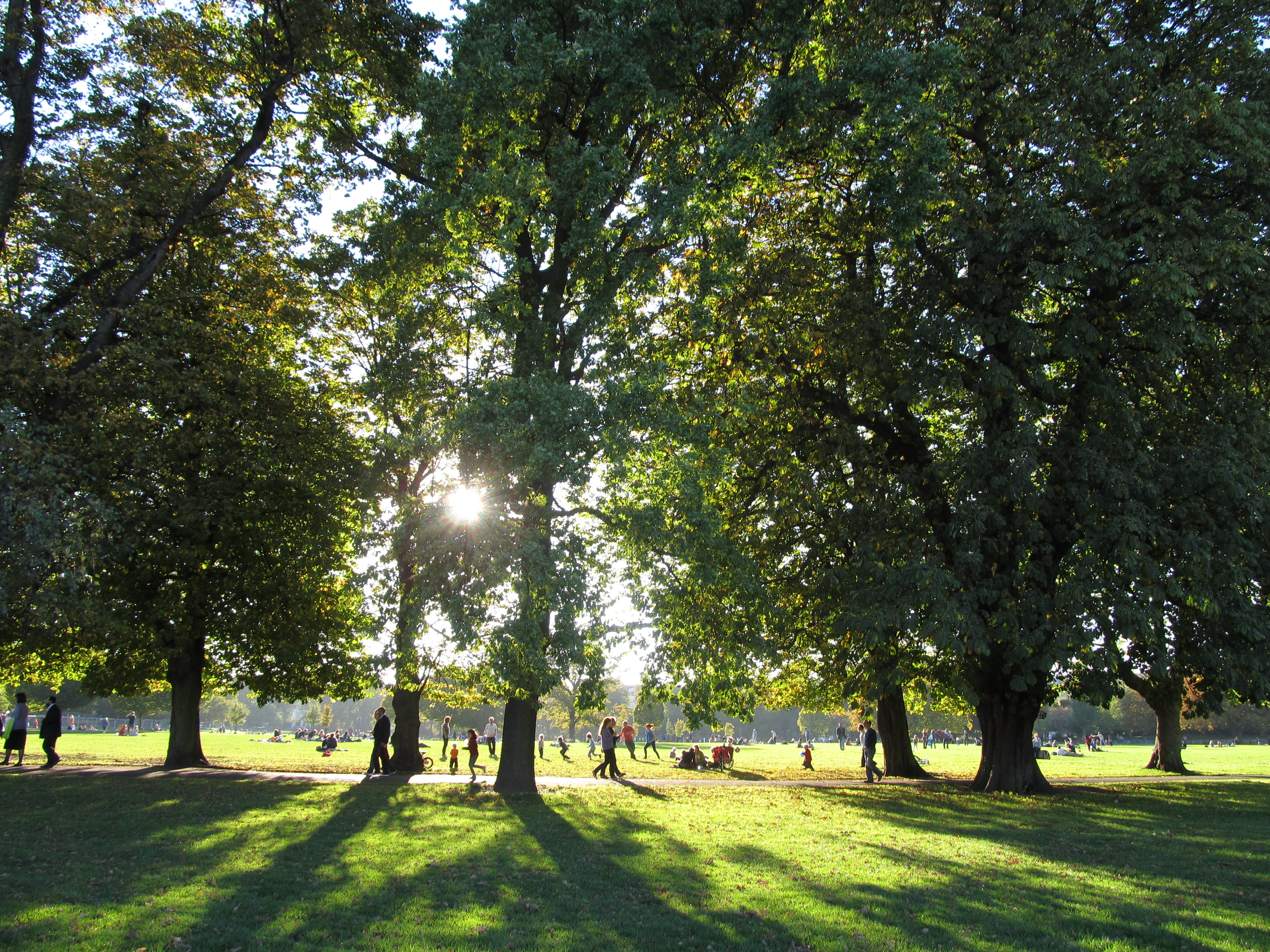 Canon PowerShot SX130 IS sample image