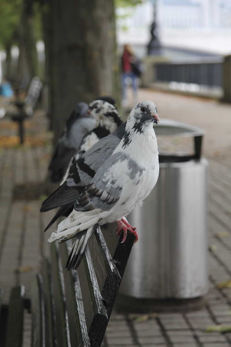 Canon ESO 60D test shots
