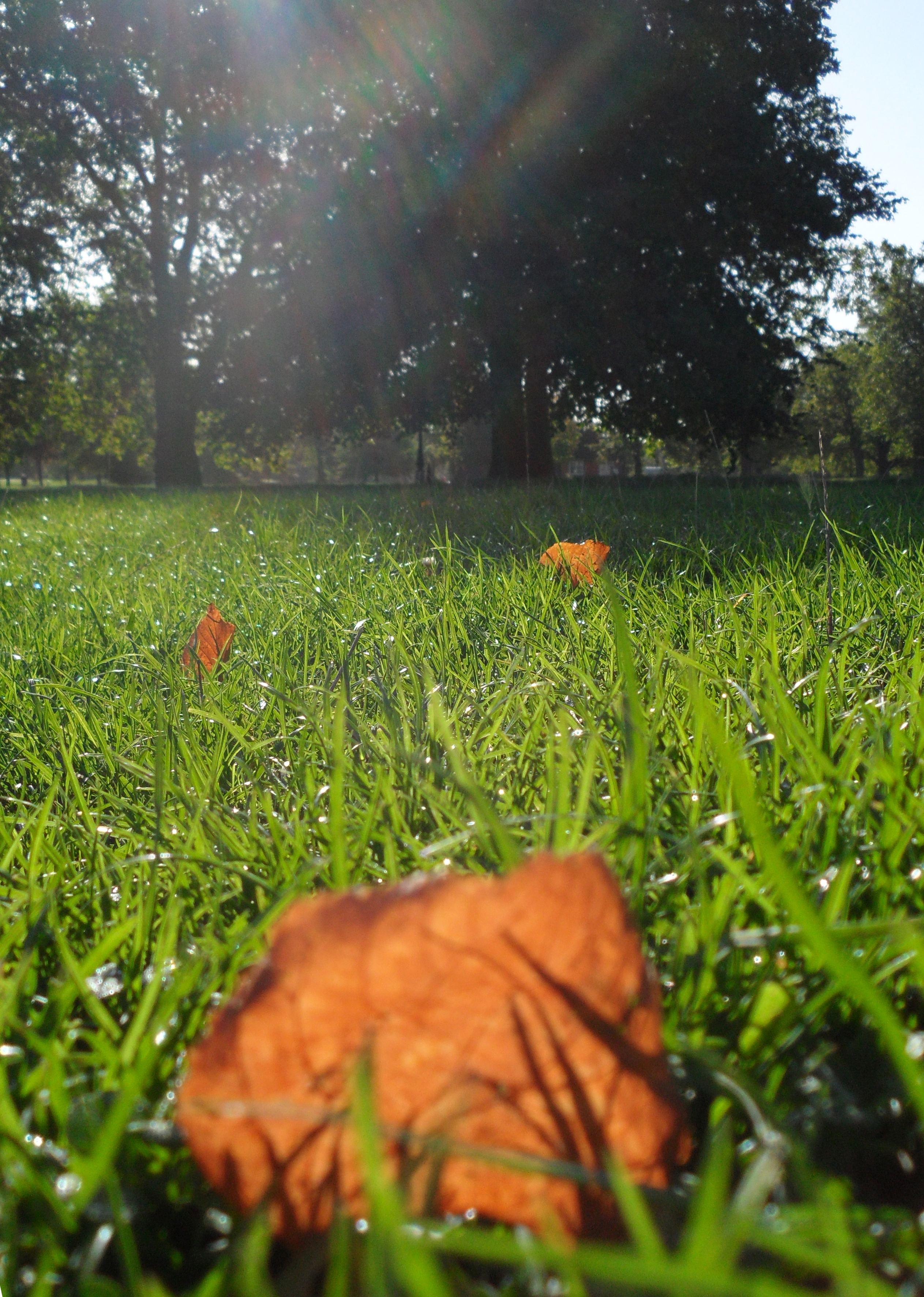 Samsung ST5500 sample image 1