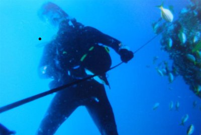 Underwater Camera pictures of dive survive after four years