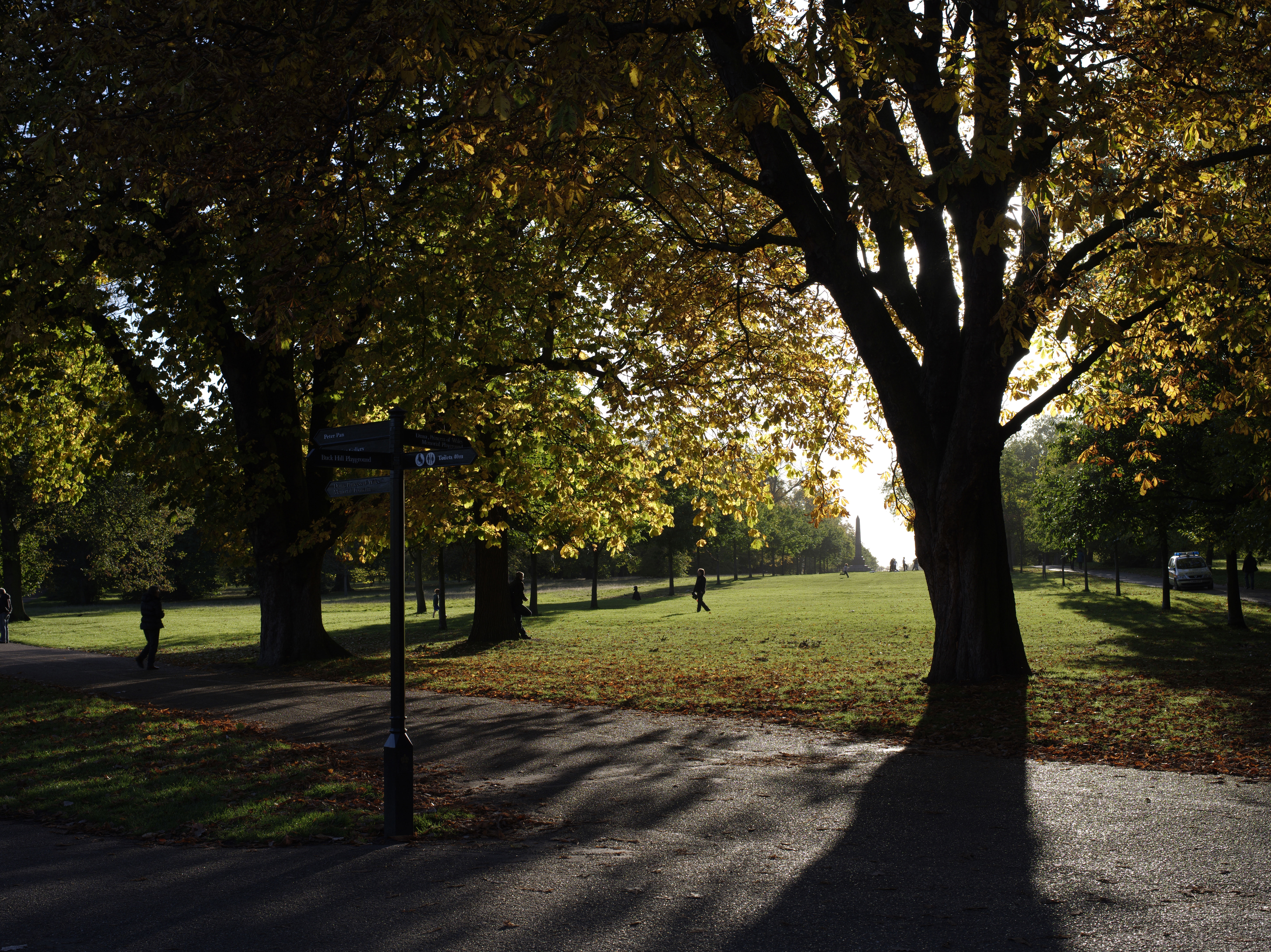Pentax 645D sample image