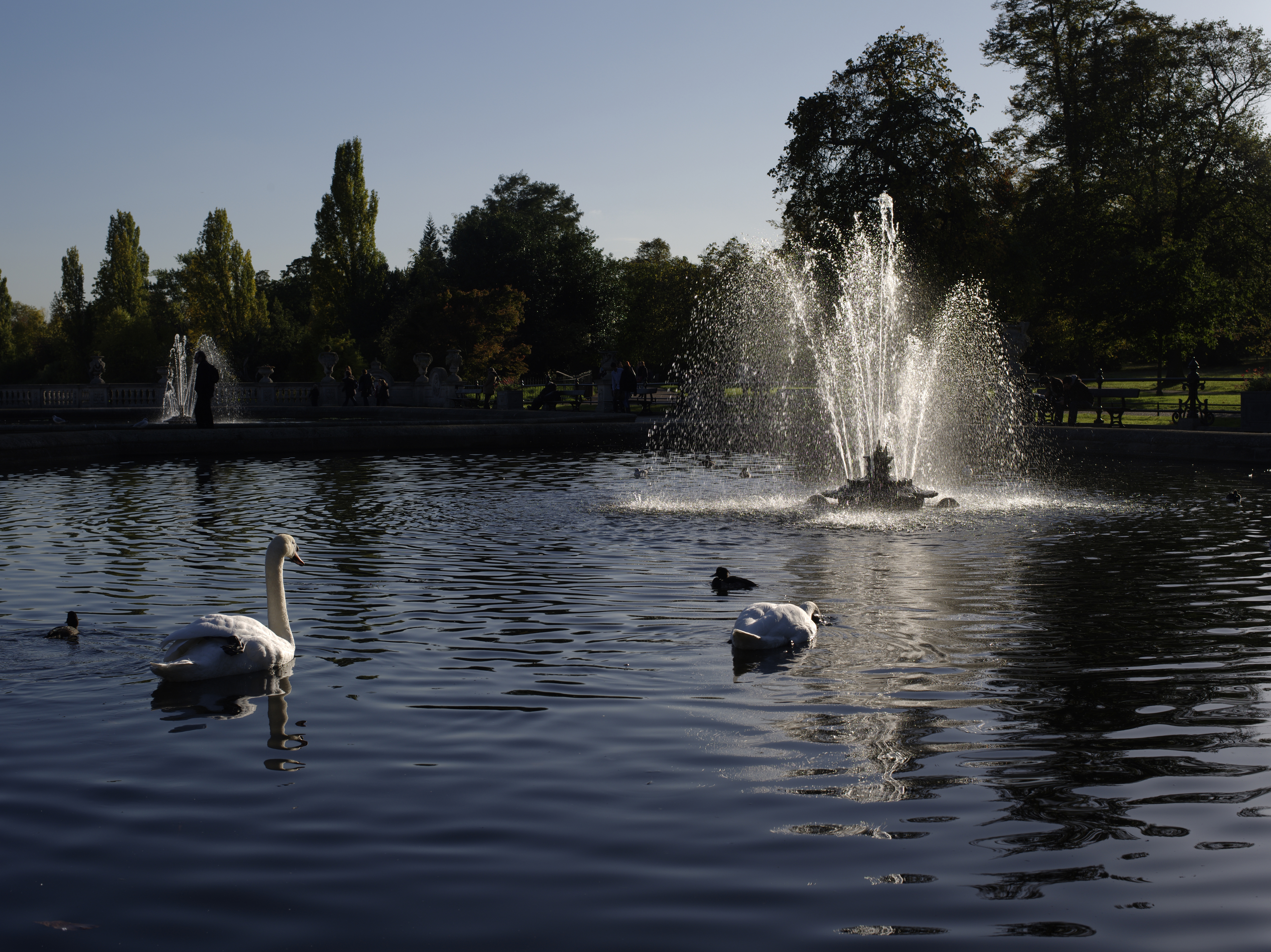 Pentax 645D sample image