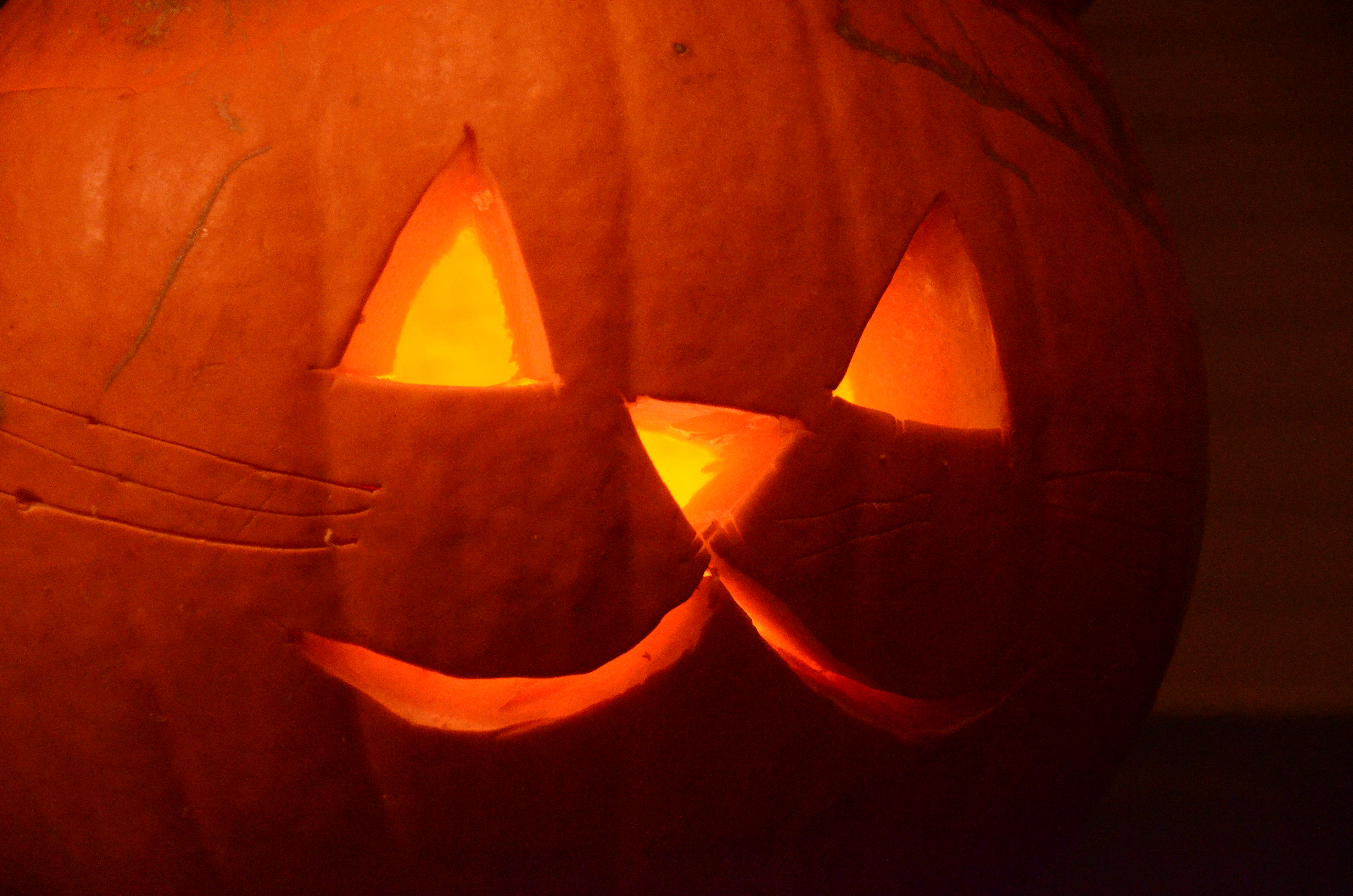 Nikon D7000 review test sample images full size example