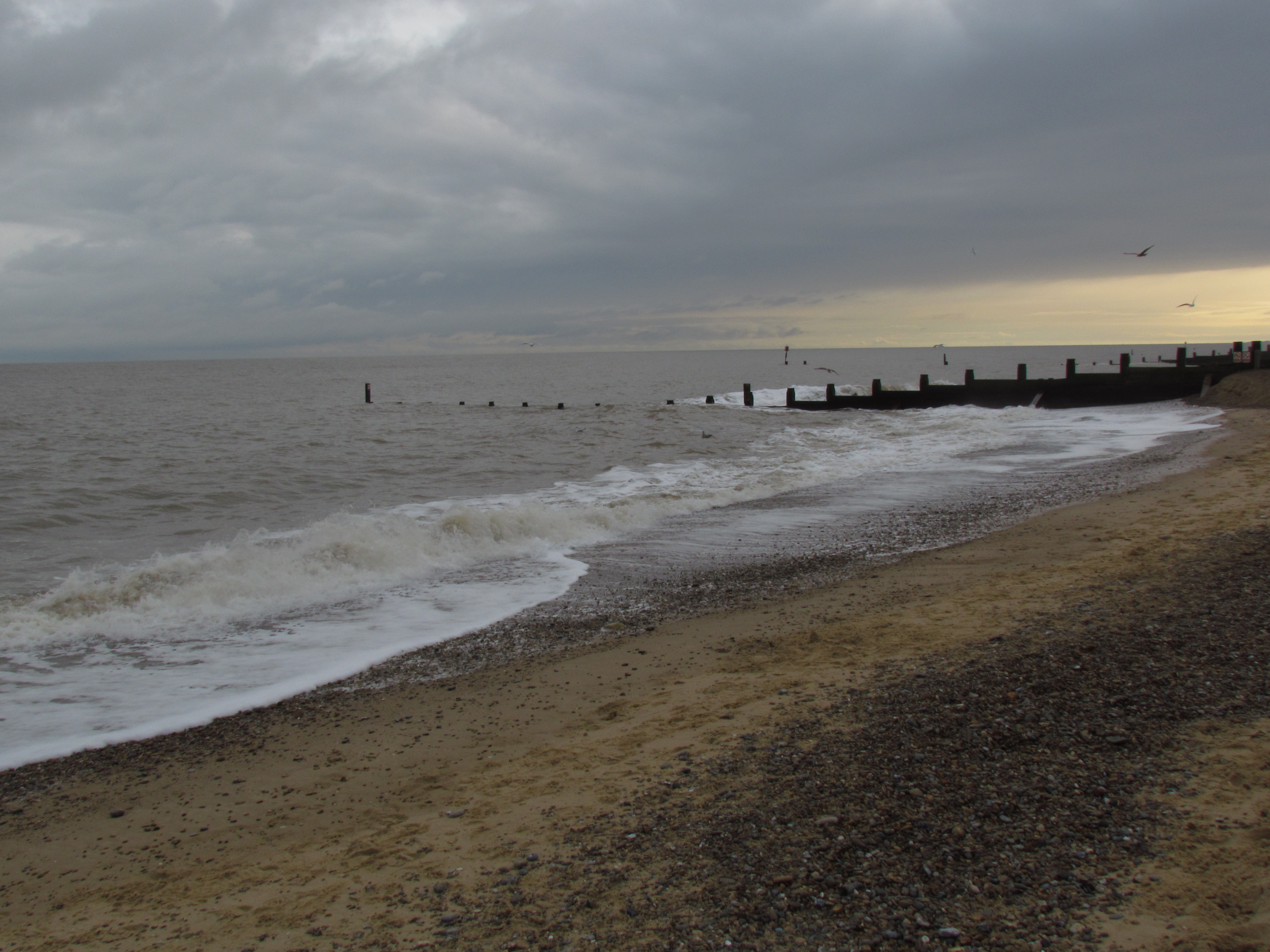 Canon sx30is sample image