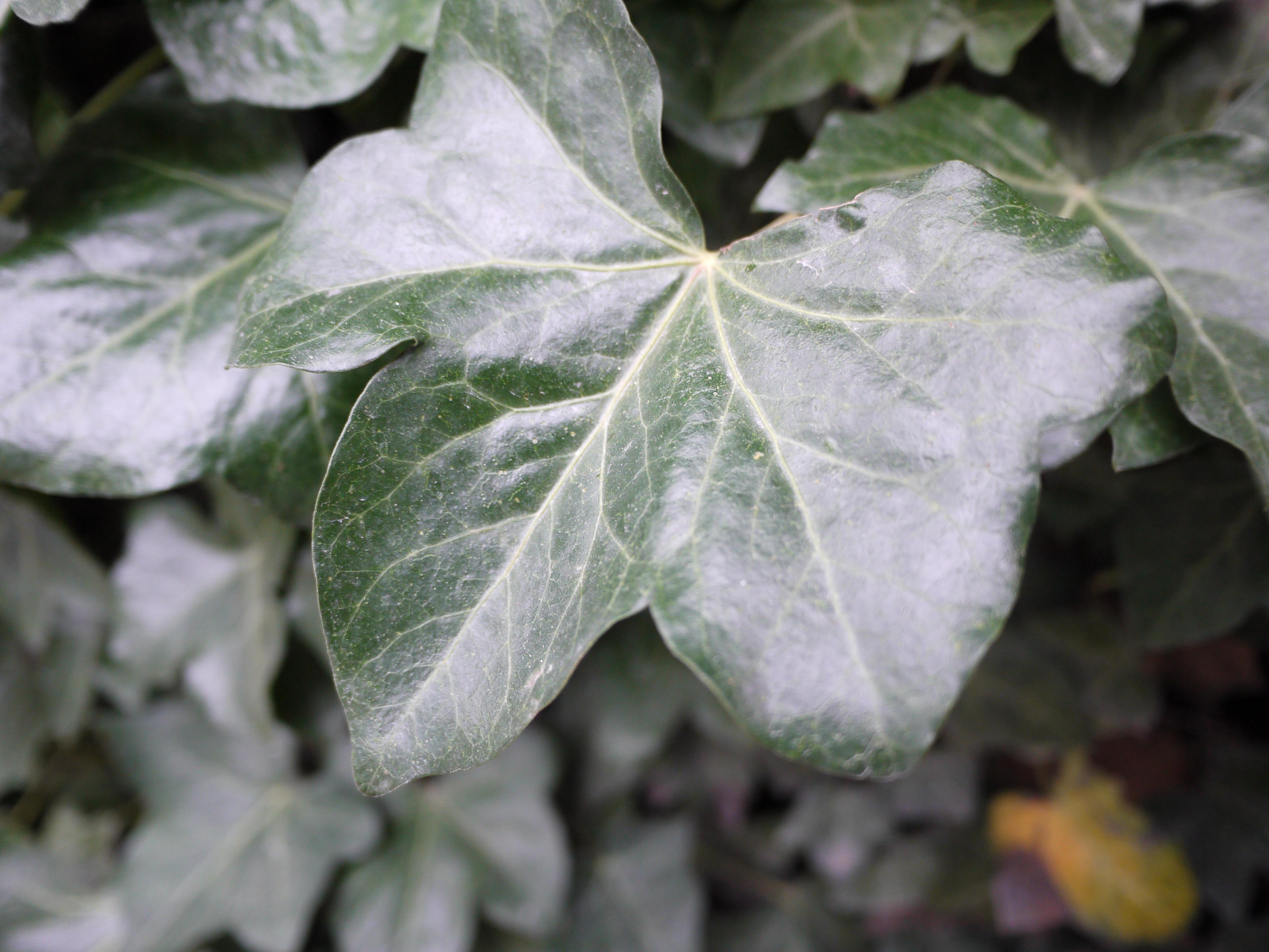 Panasonic GF2 Test shots