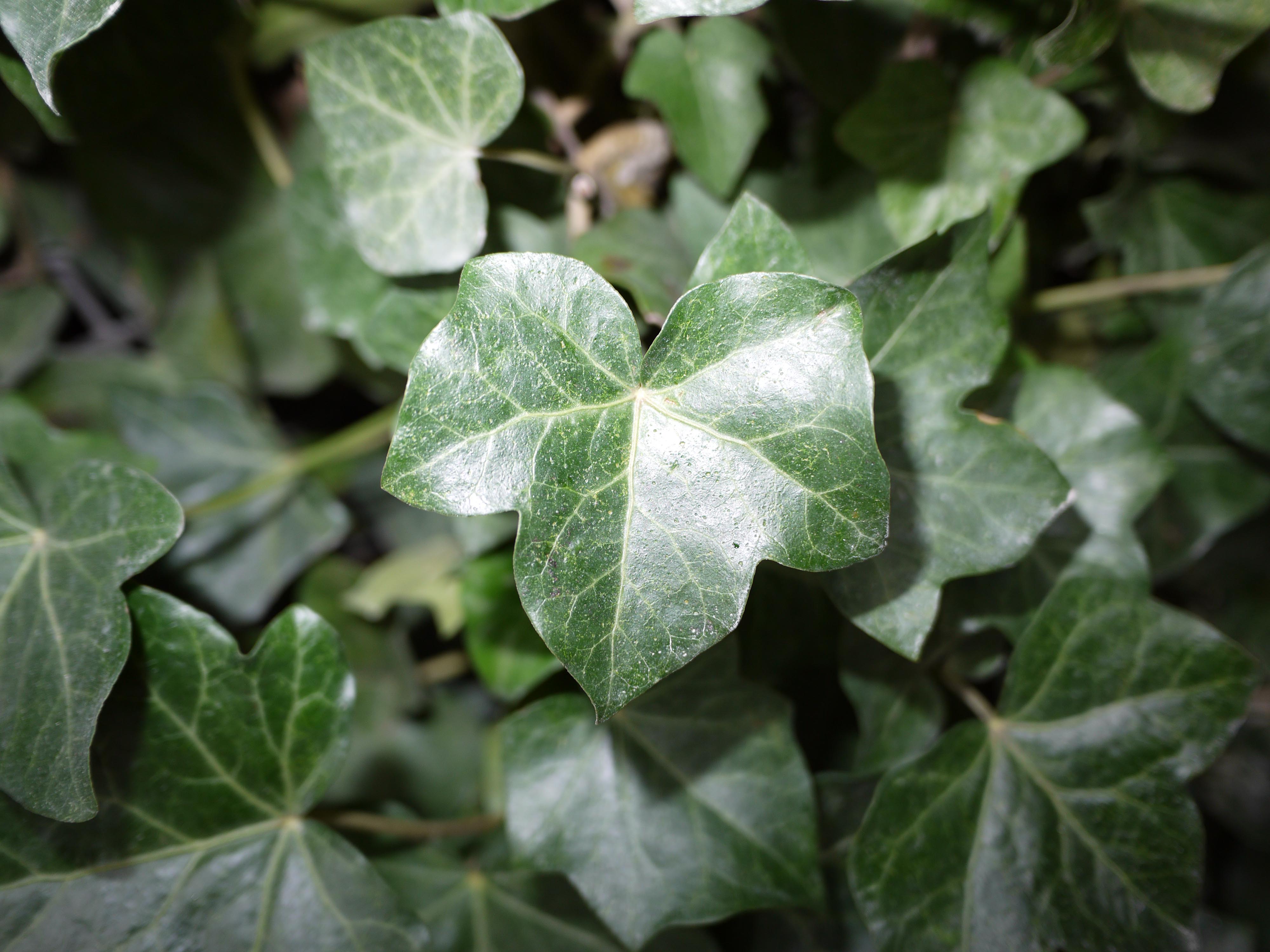 Panasonic GF2 Test shots
