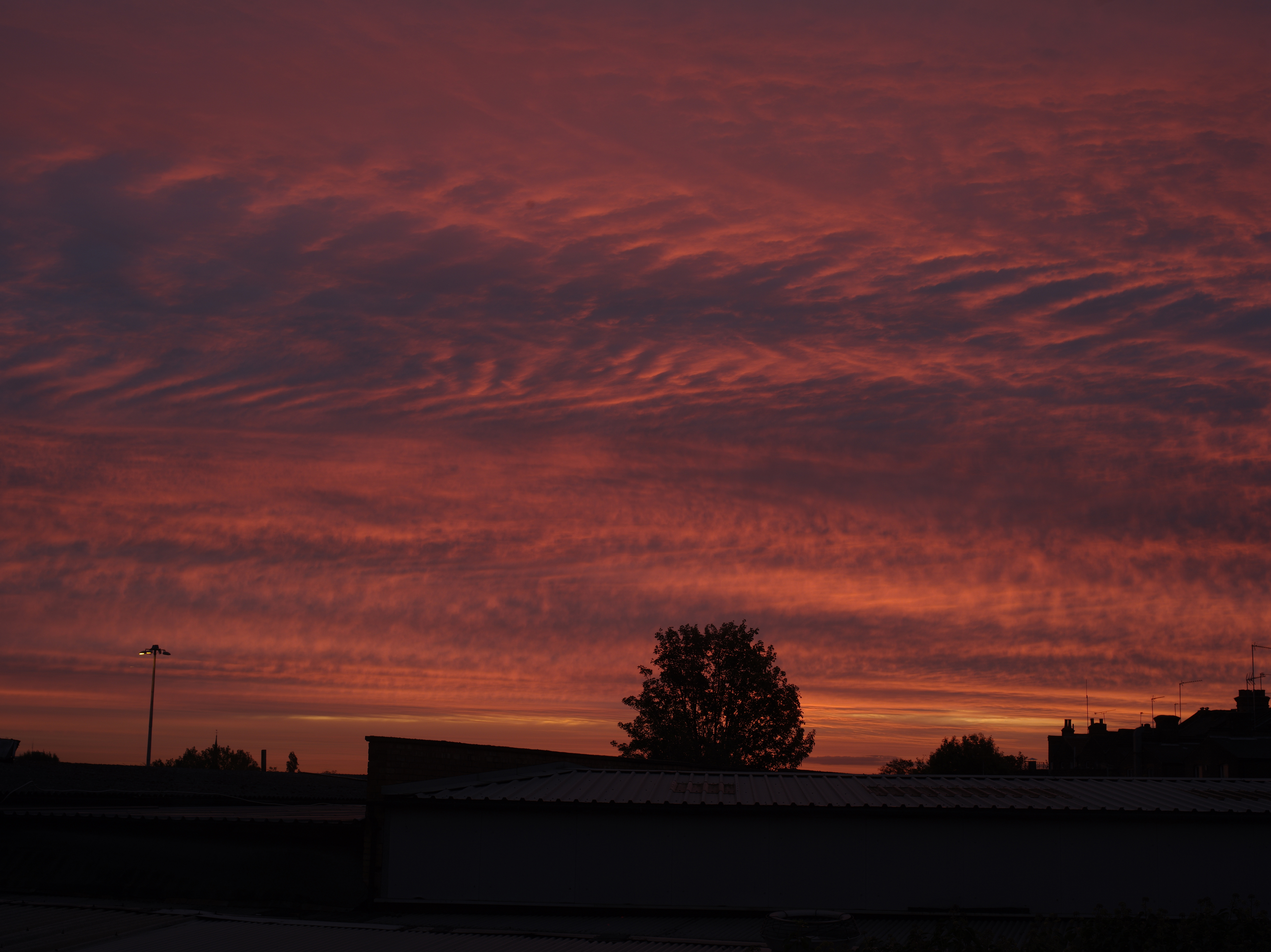Pentax 645D review sample image