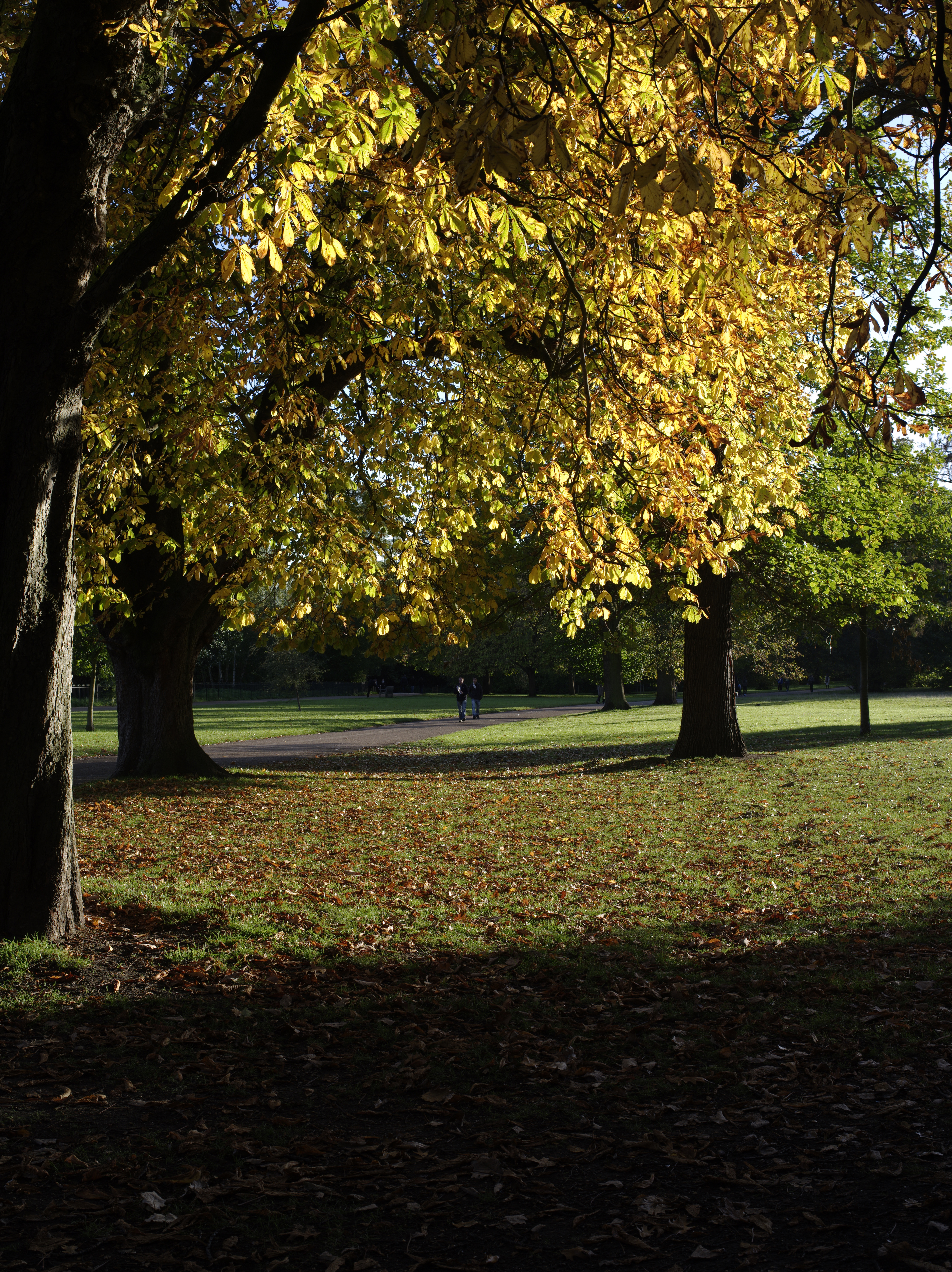 Pentax 645D review sample image