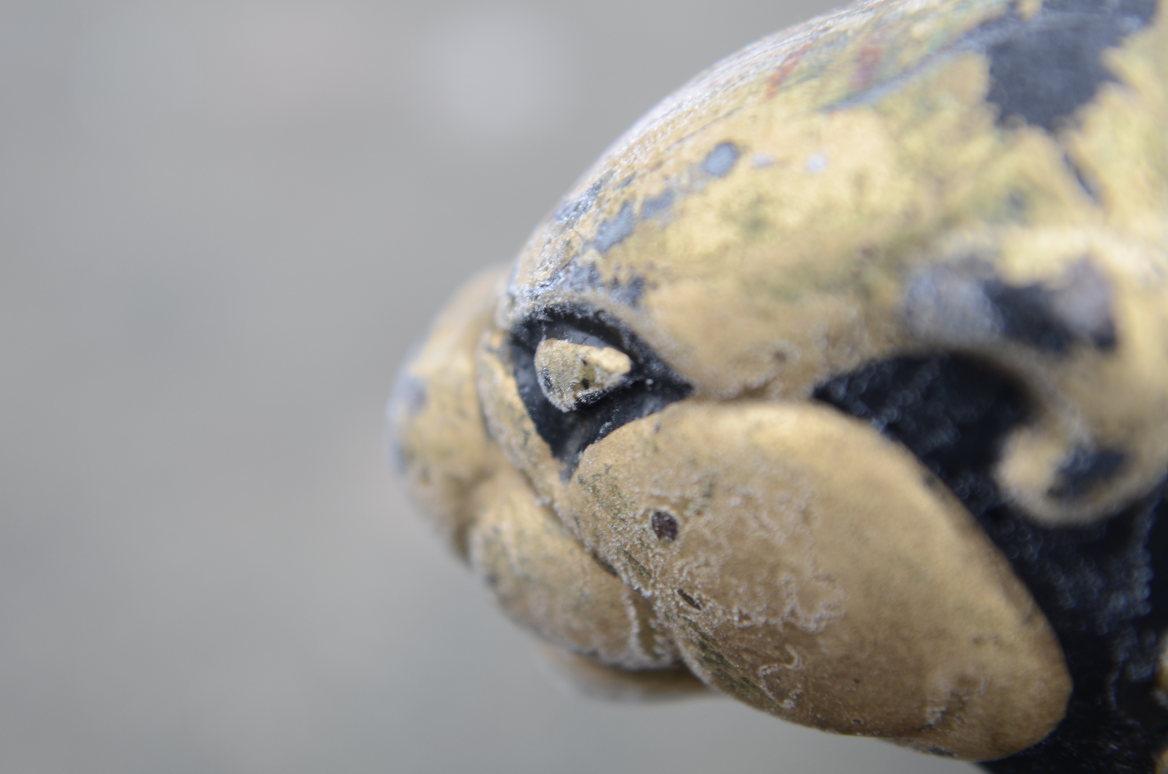 Nikon D7000 sample image 1 | Reviews | What Digital Camera
