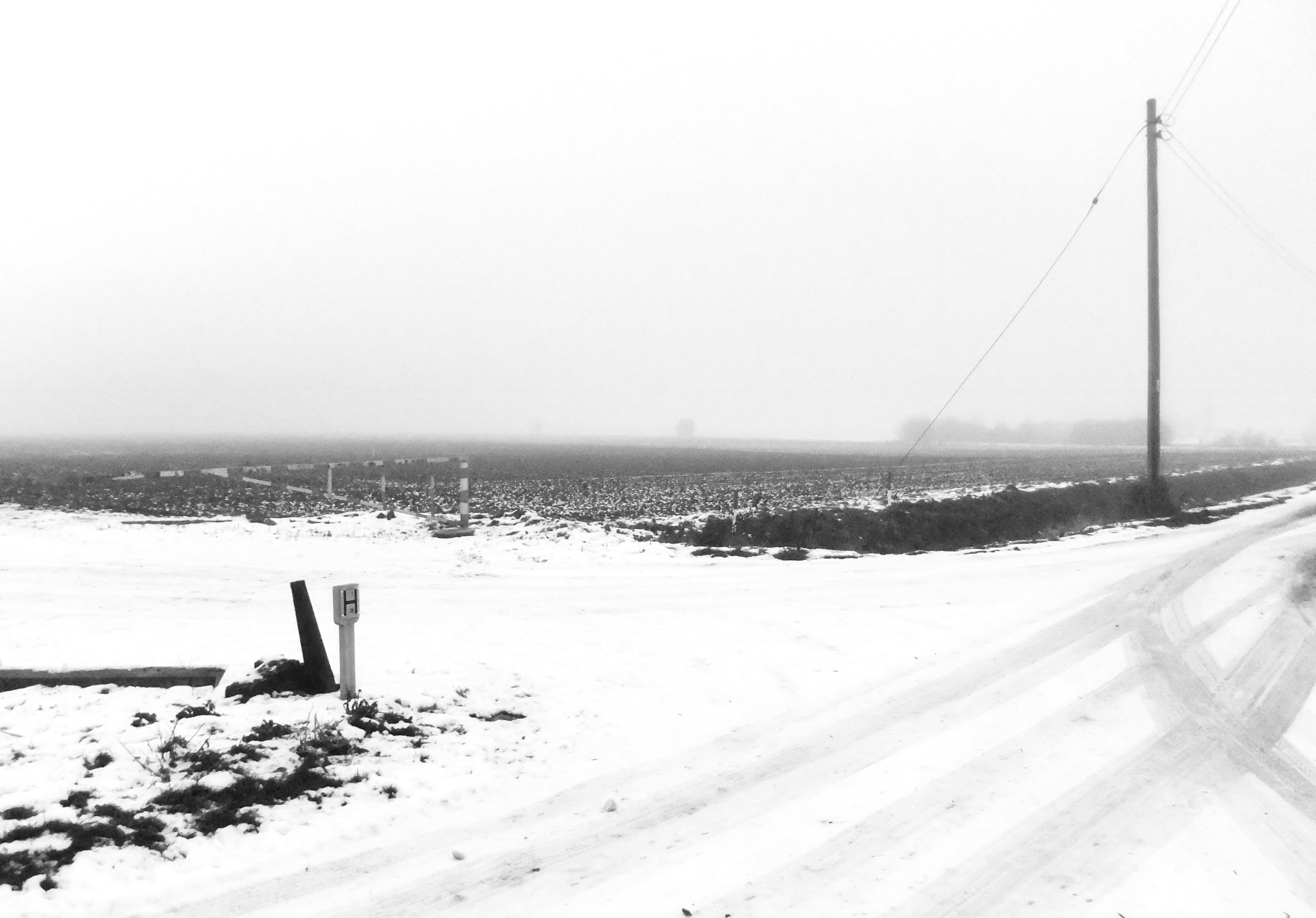 Fujifilm Finepix JZ500 sample image - snow field