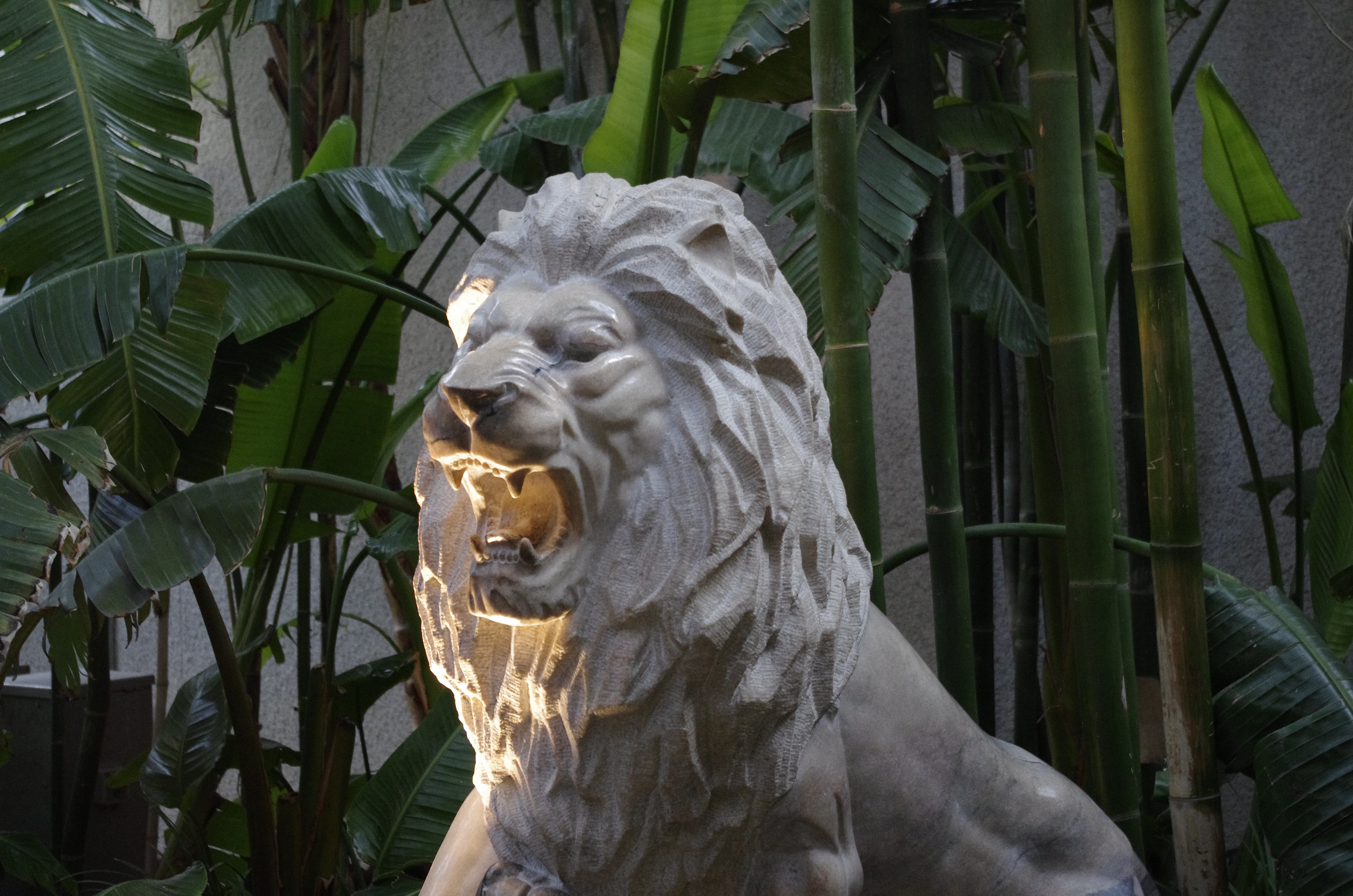 Pentax K-5 test sample image