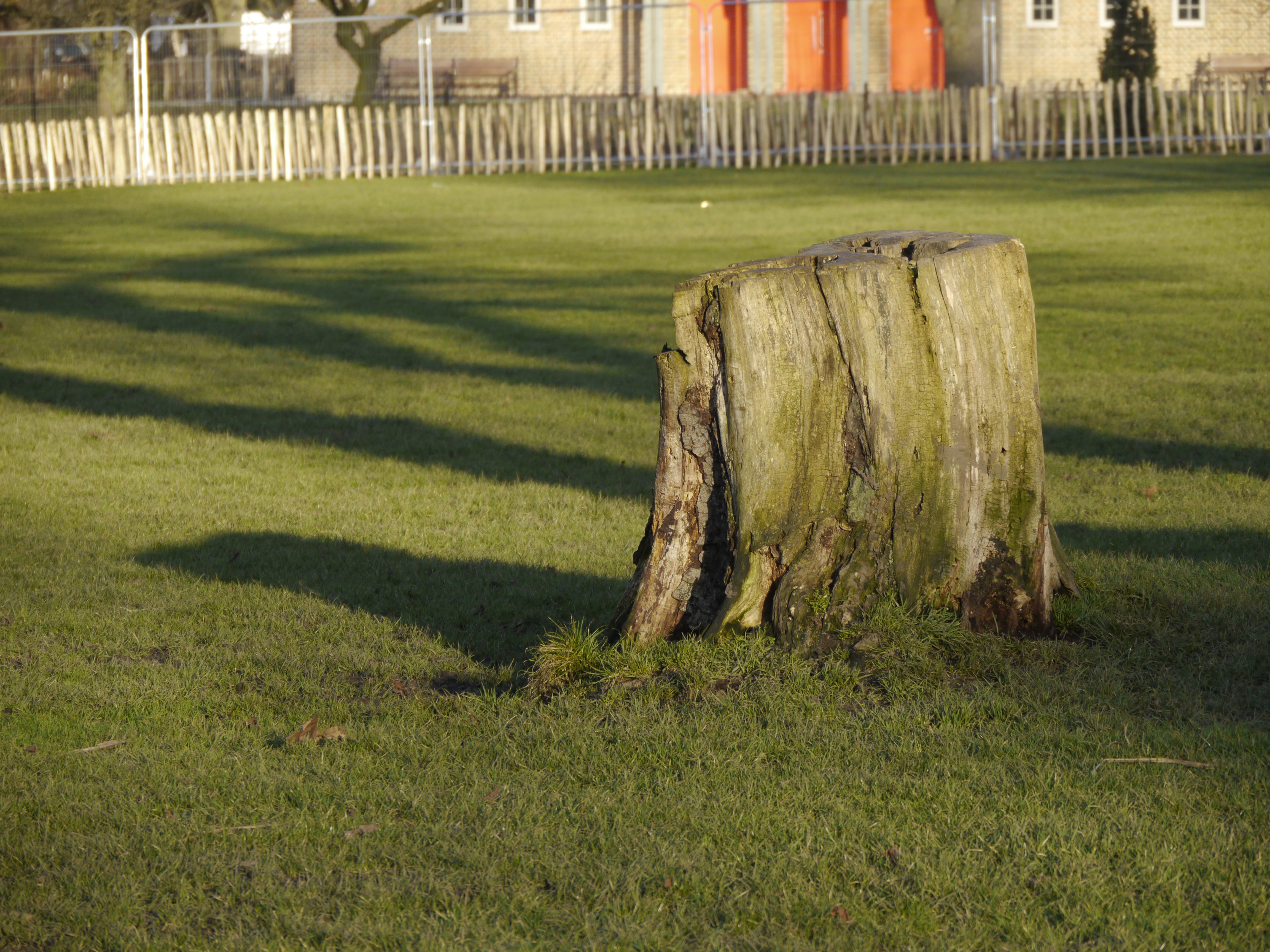 Panasonic Lumix GH2 review sample image