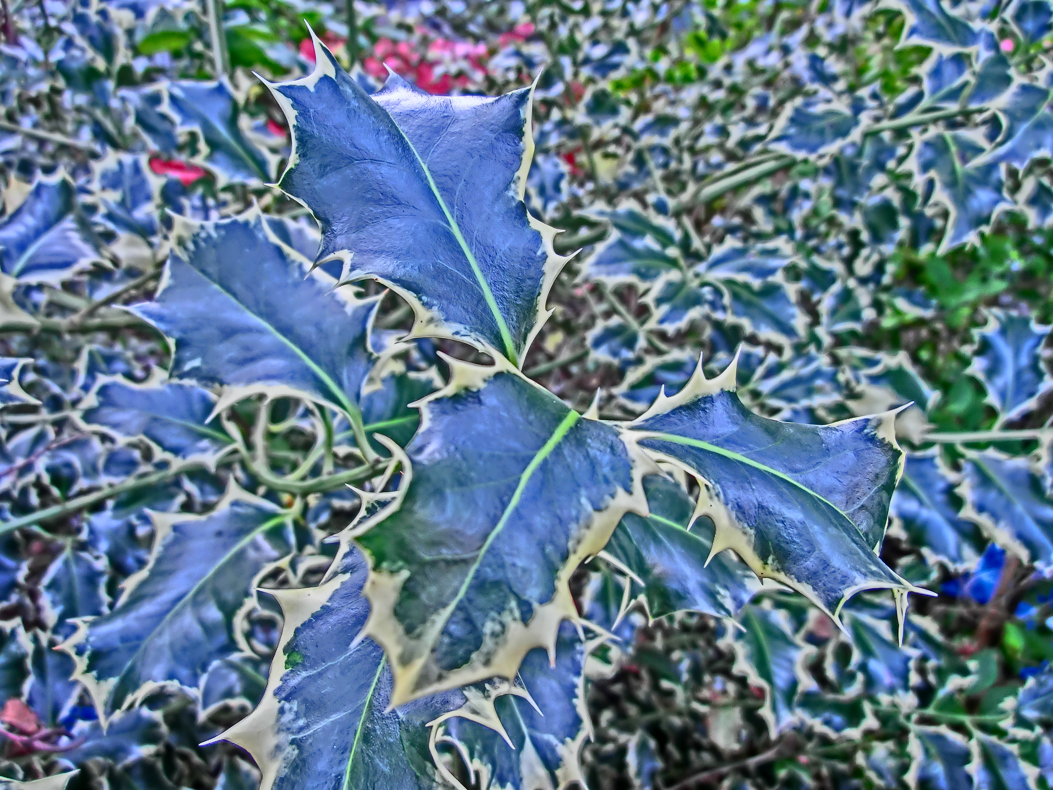 Casio EXILIM ZR100 review sample image