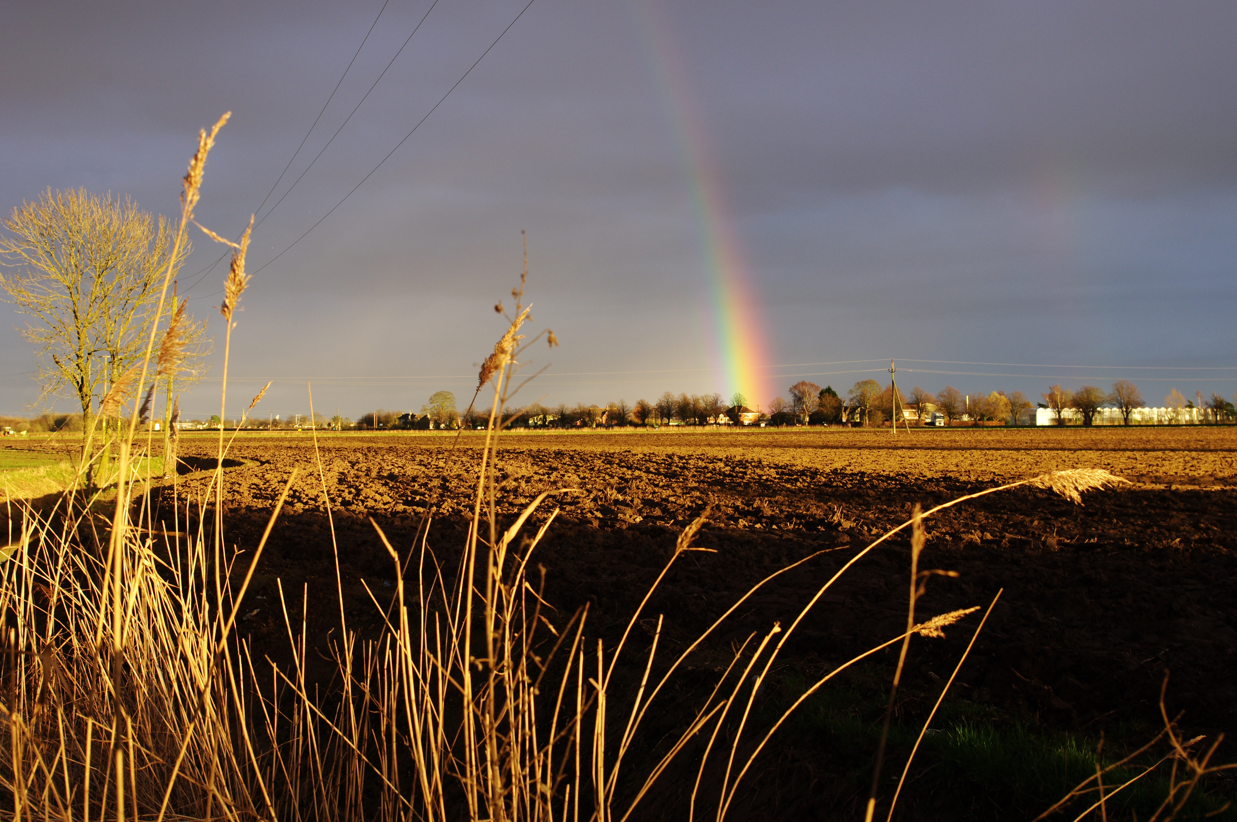 Pentax K-r review sample image
