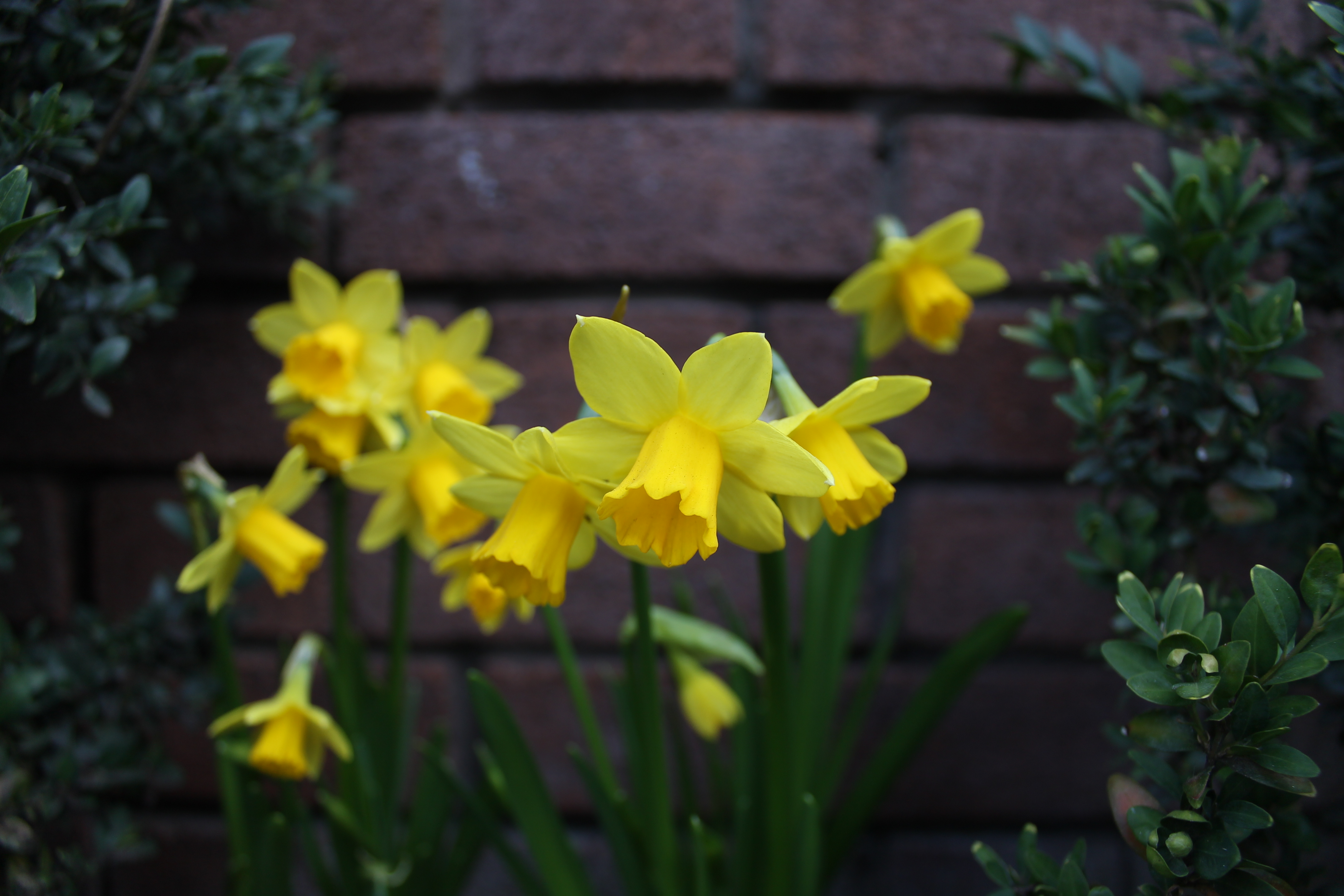 Canon EOS 1100D review sample image