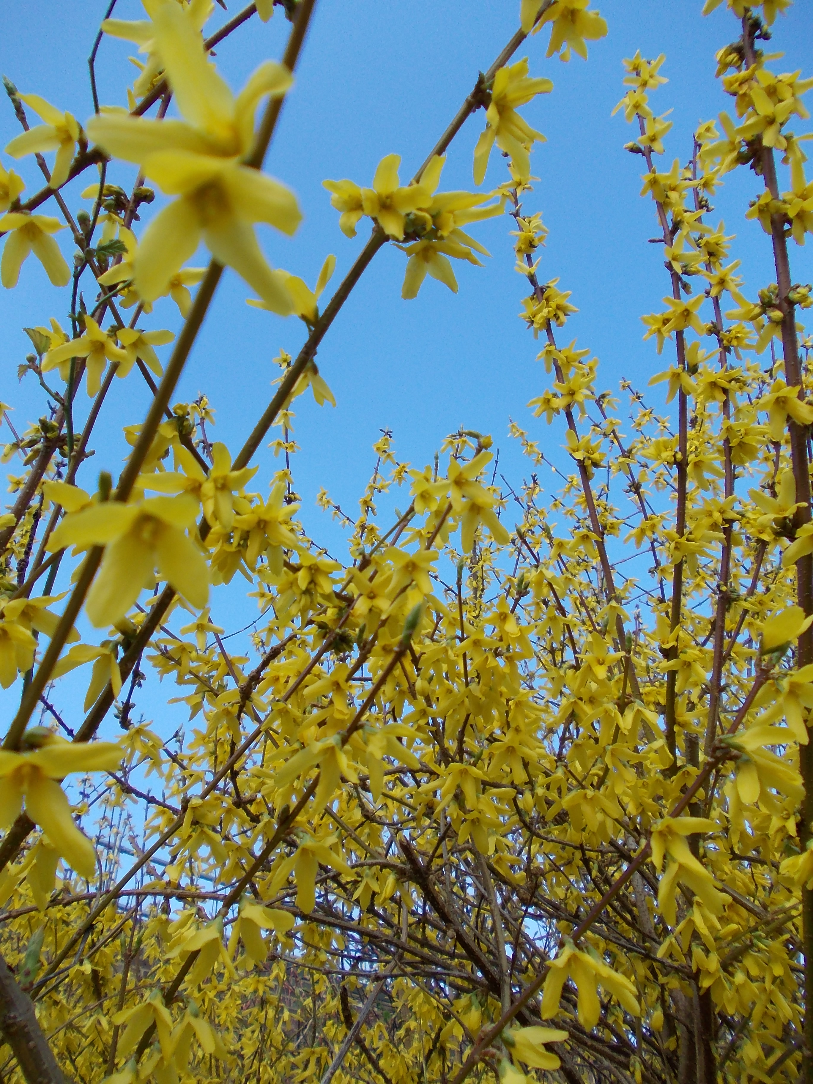 Nikon Coolpix L23 review sample image