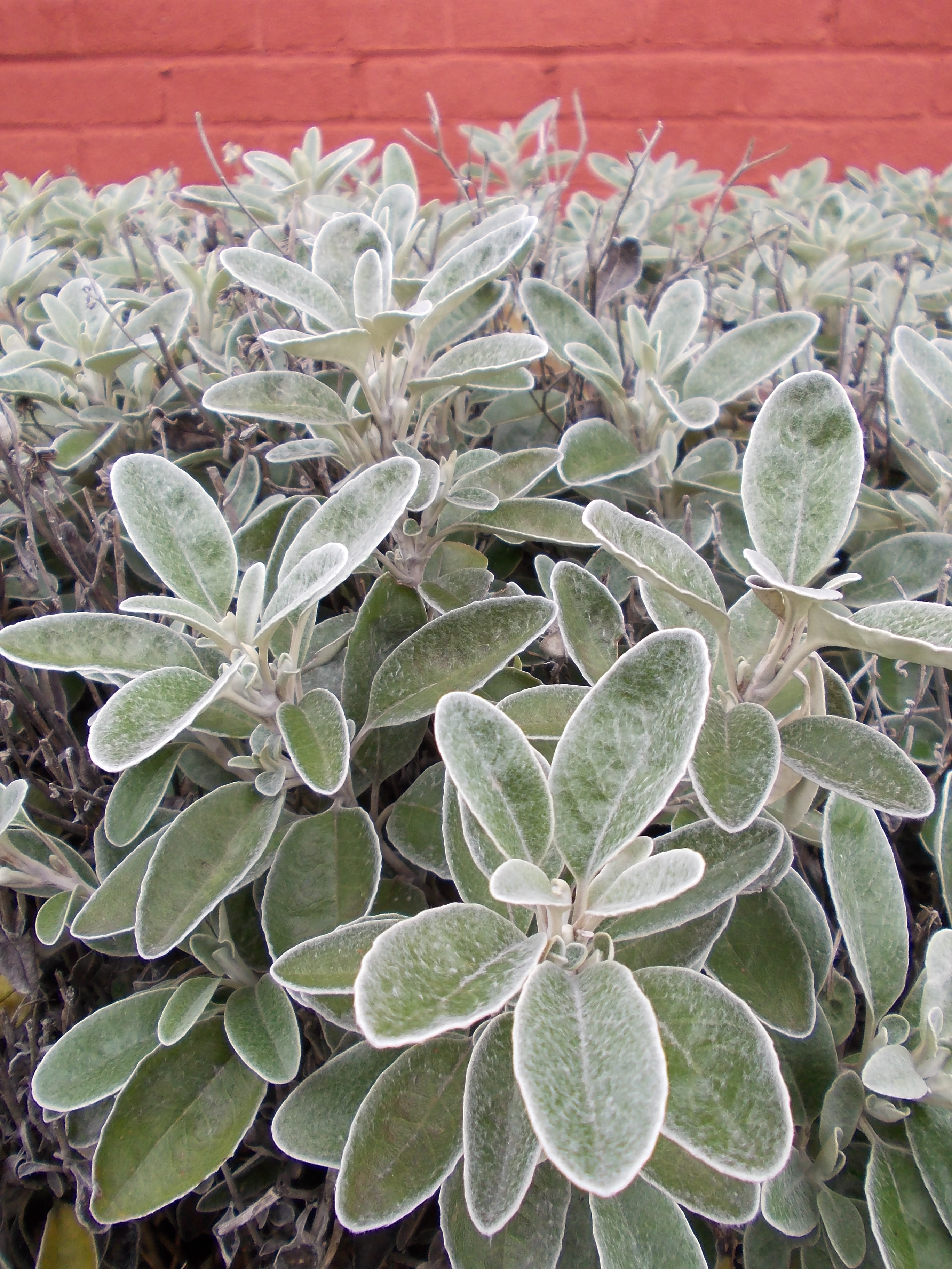 Nikon Coolpix L23 review sample image