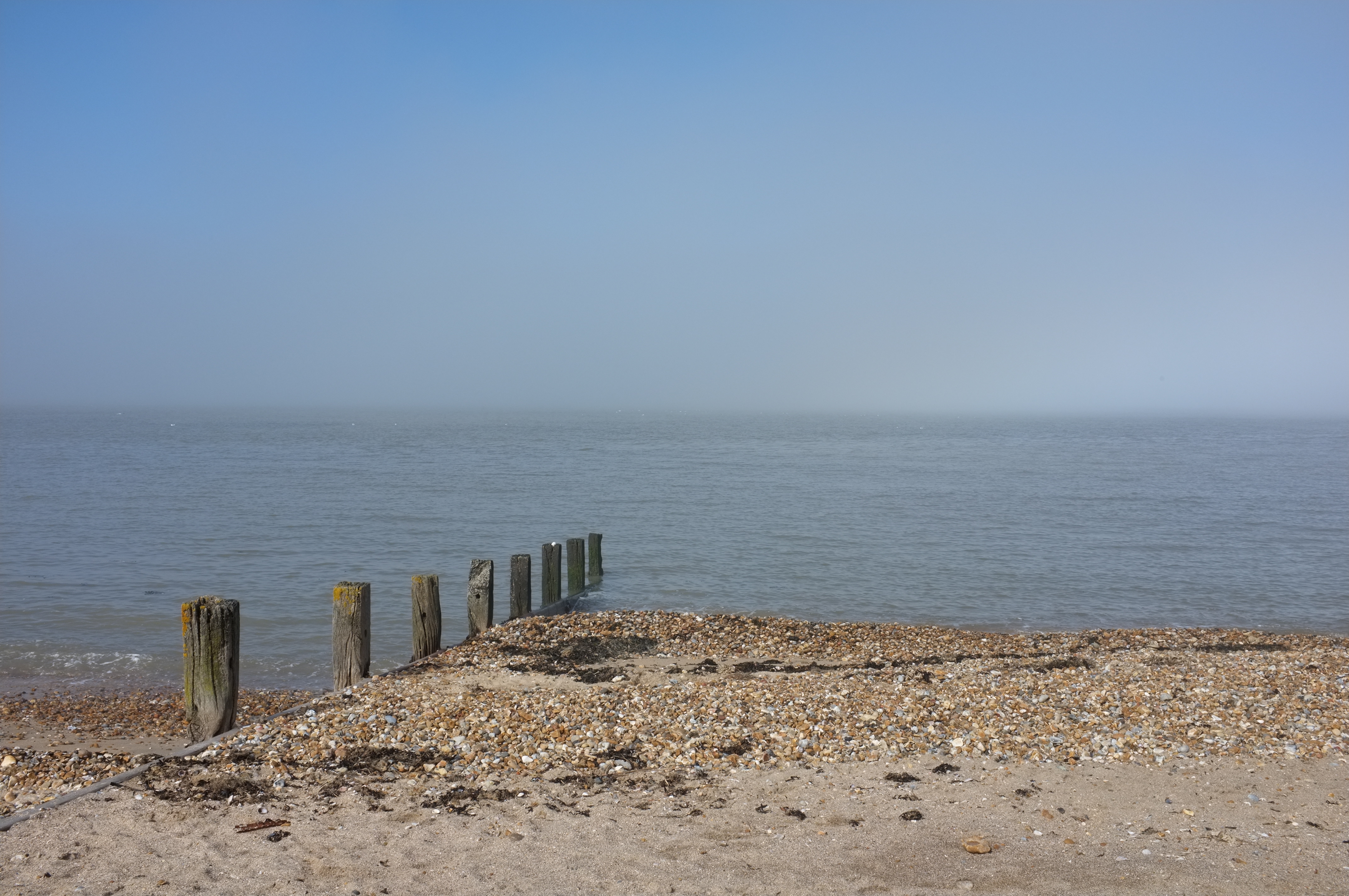 Fujifilm FinePix X100 sample images review