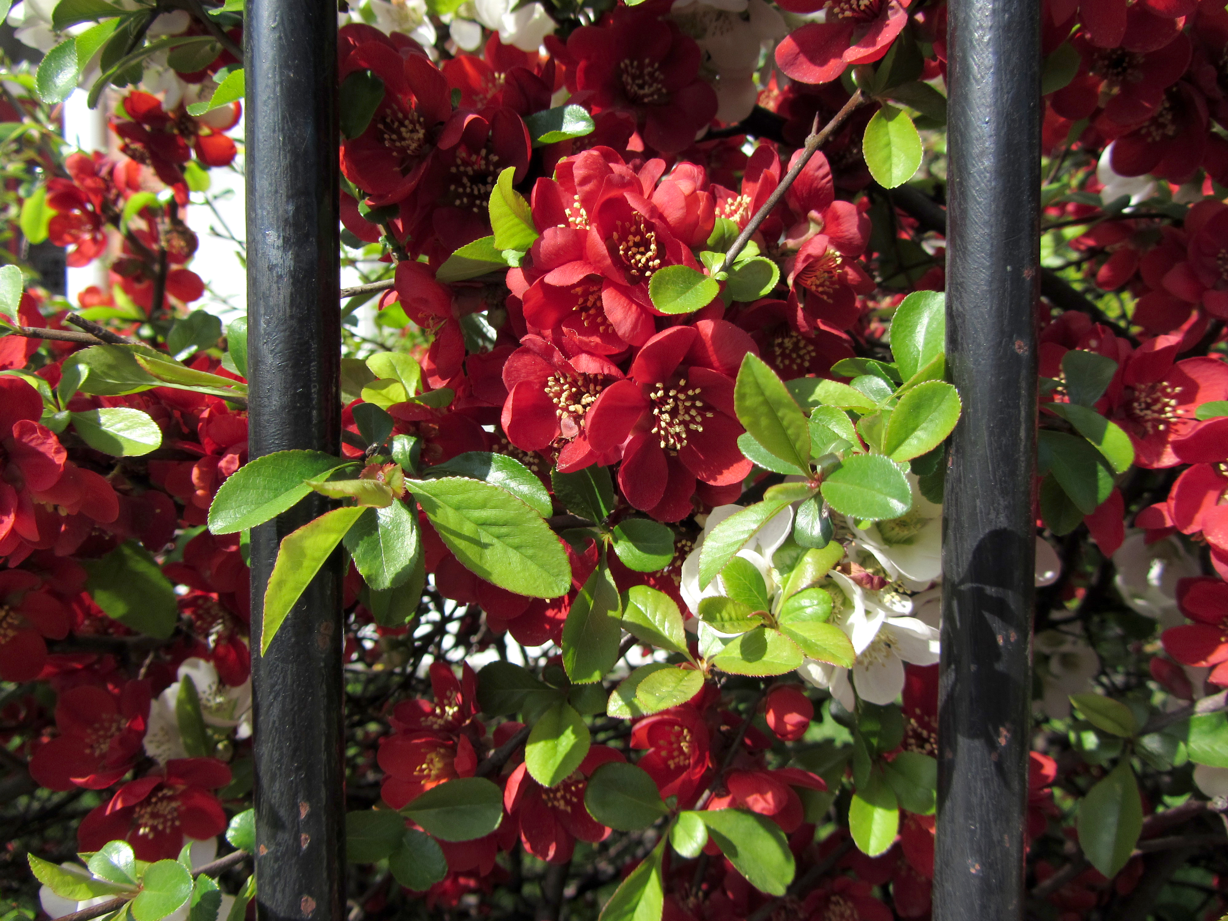 Canon PowerShot SX220 HS review sample image