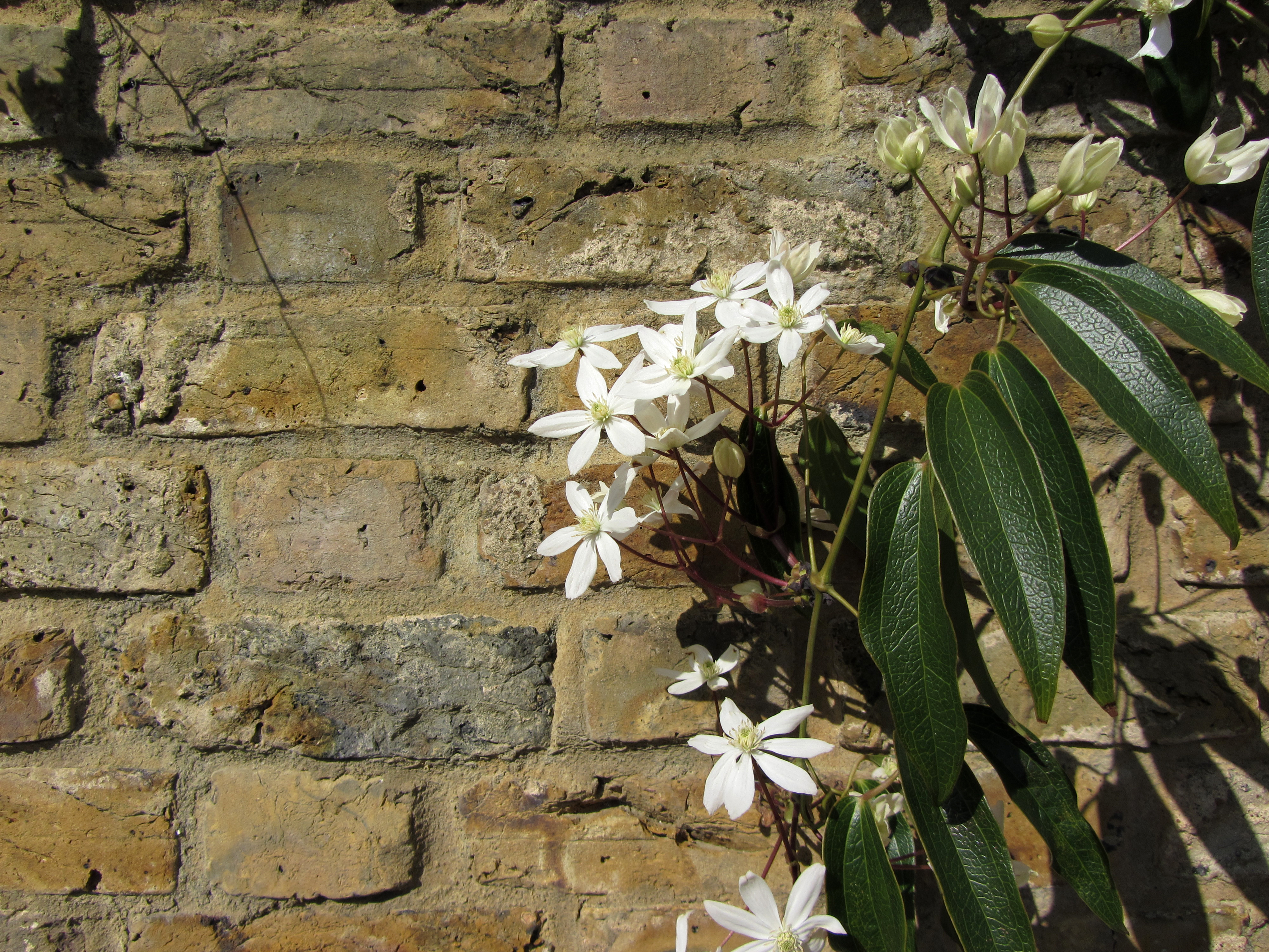 Canon PowerShot SX220 HS review sample image