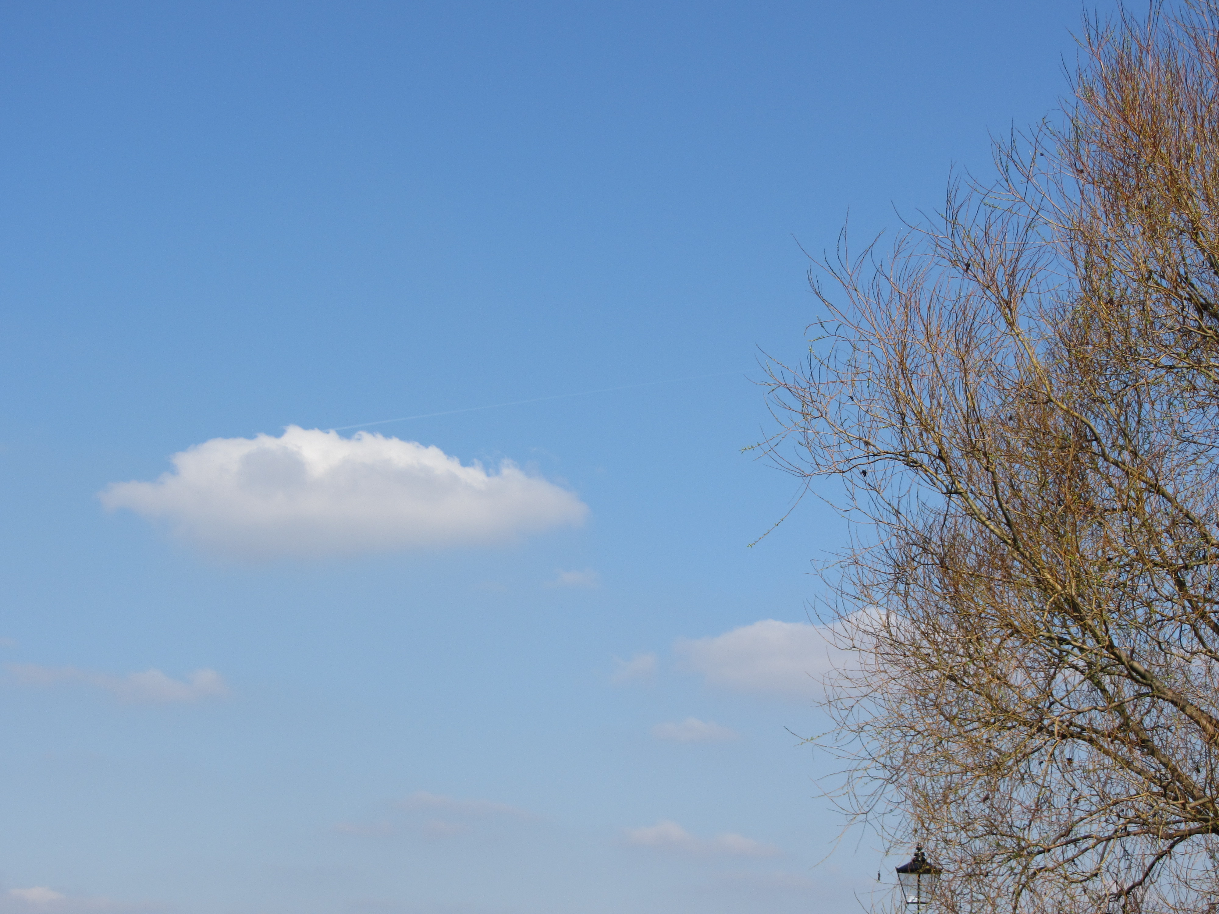 Canon PowerShot SX220 HS review sample image