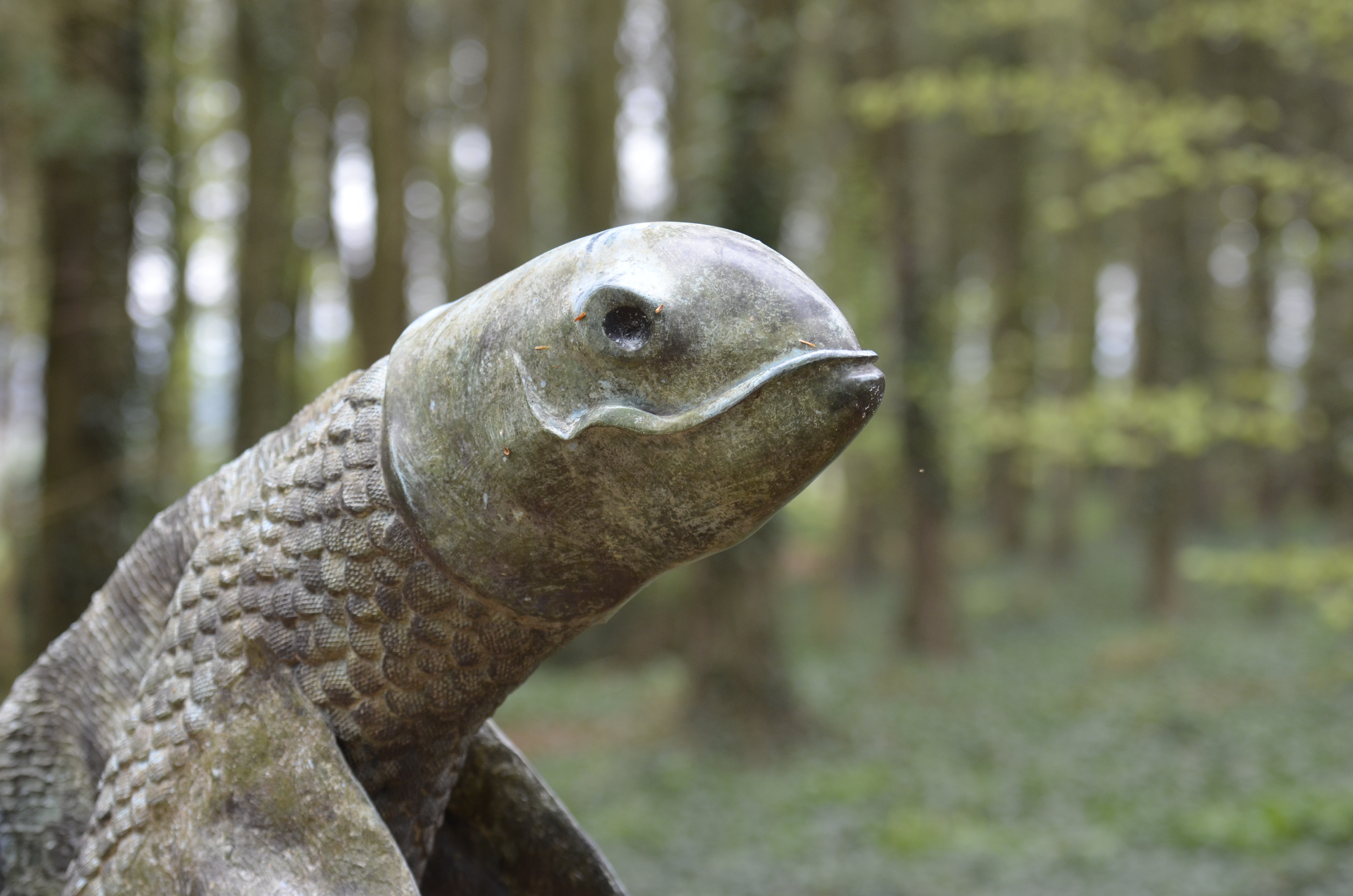 Nikon D5100 review sample image