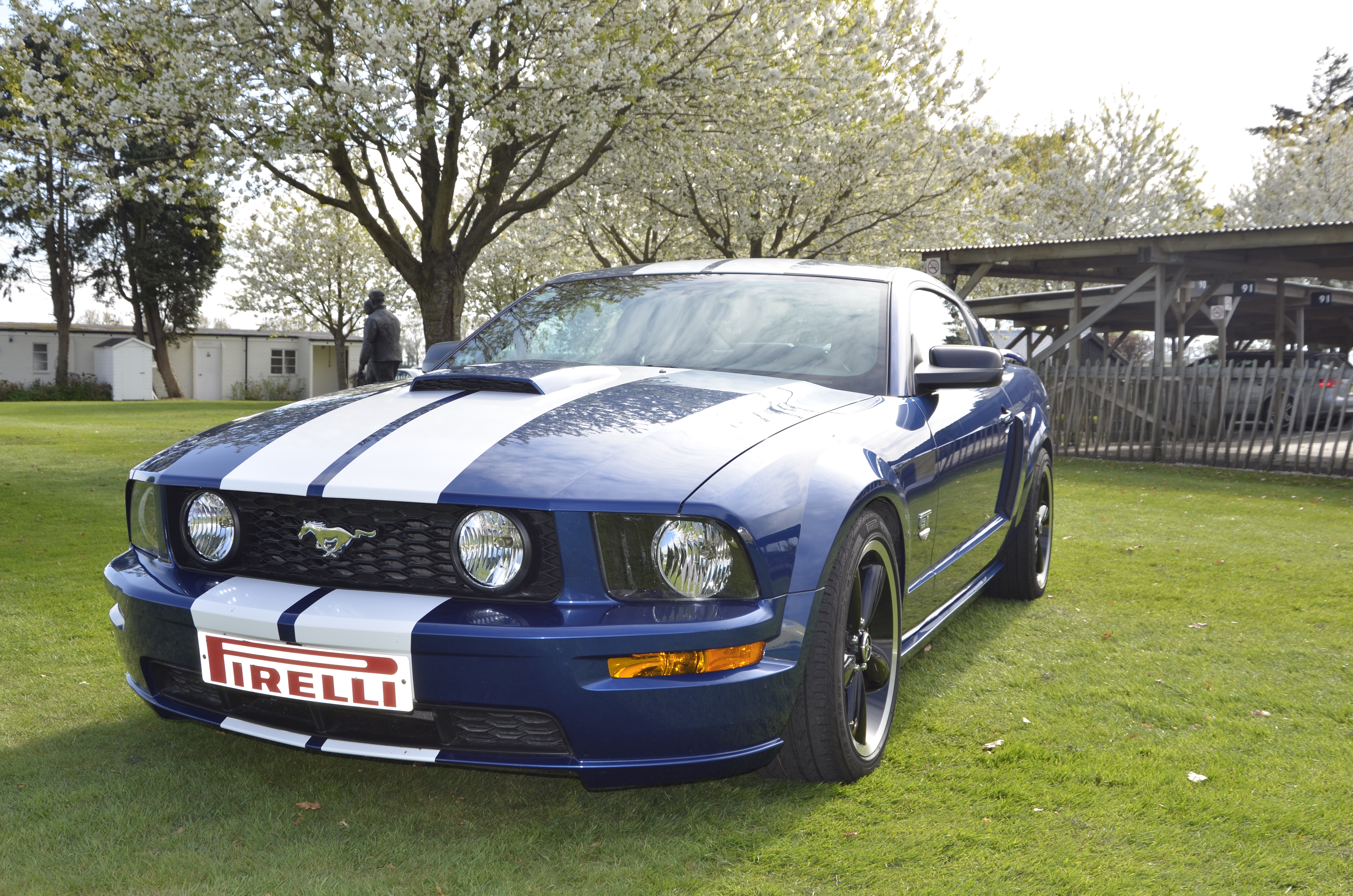 Nikon D5100 review sample image