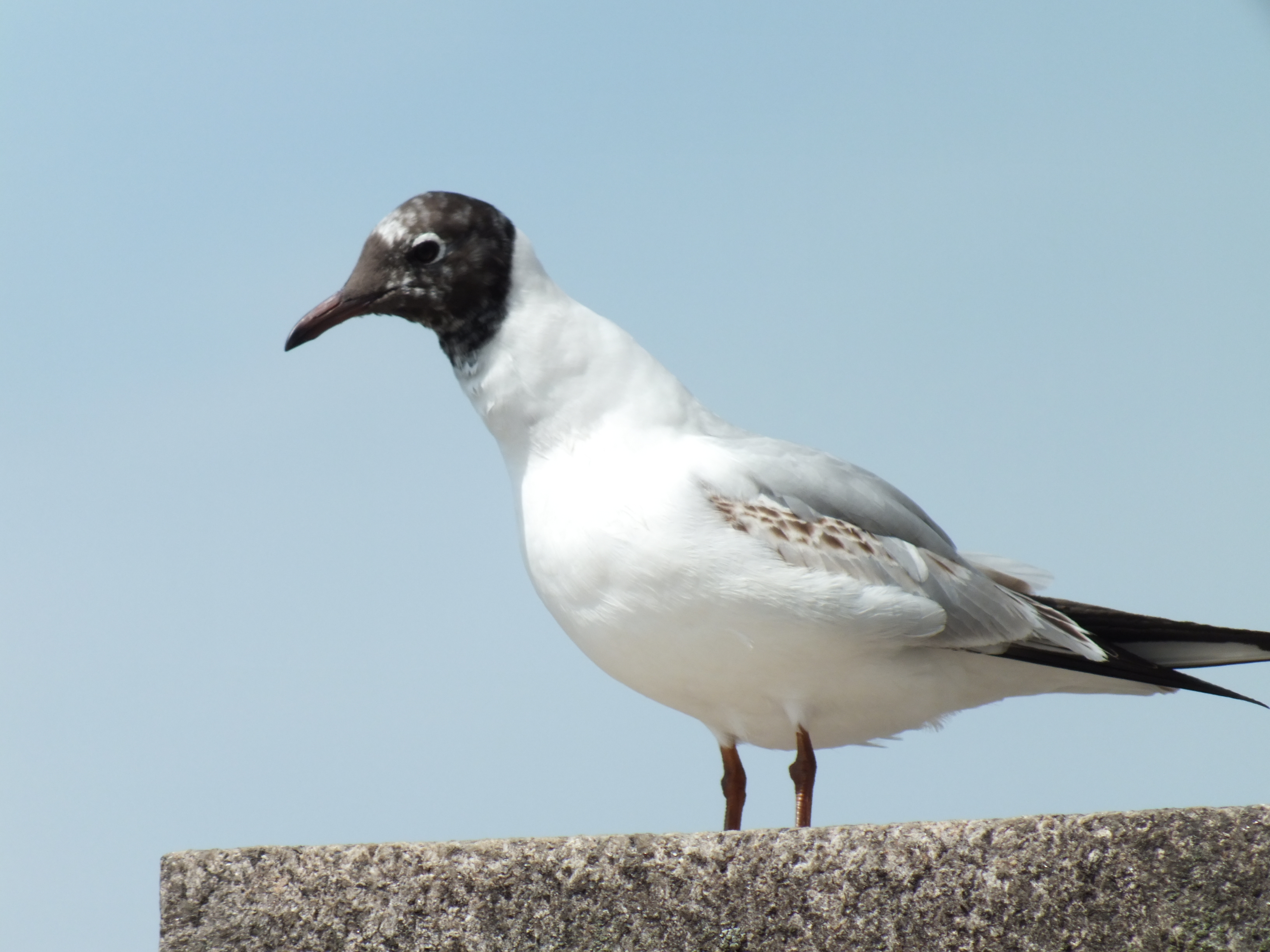 Fujifilm FinePix HS20 EXR review sample image