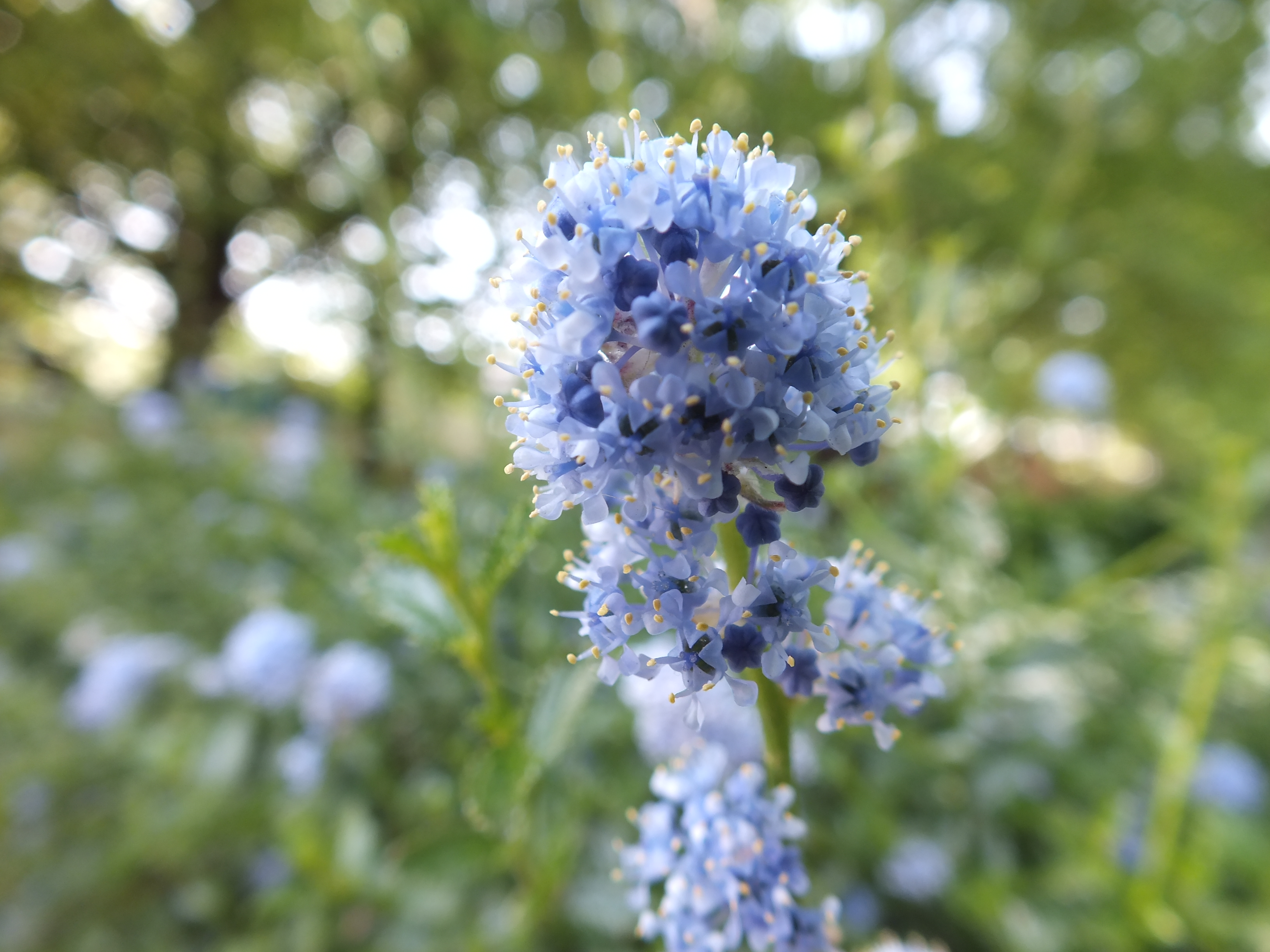 Fujifilm FinePix HS20 EXR review sample image
