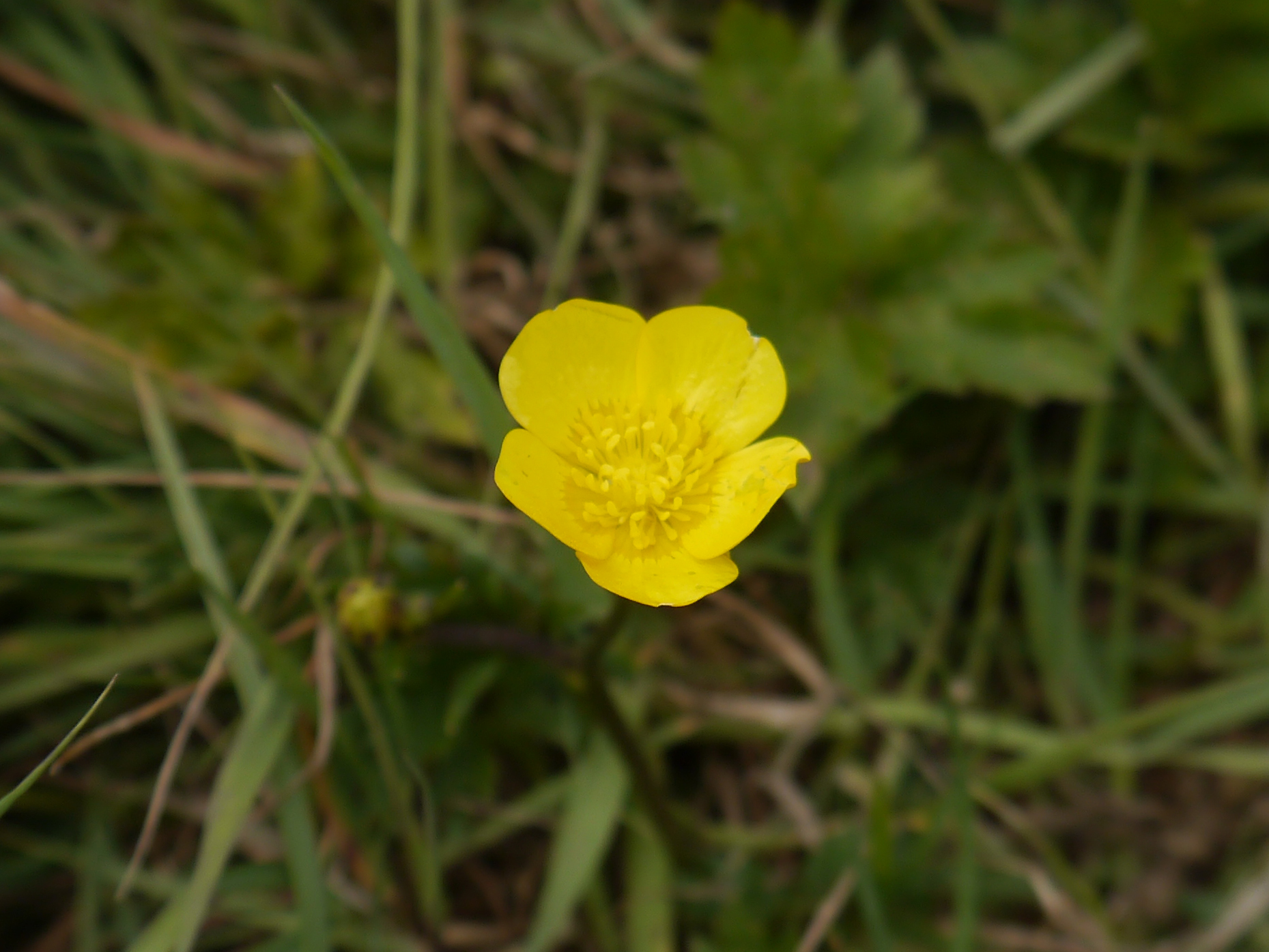 Panasonic Lumix G3 review sample image