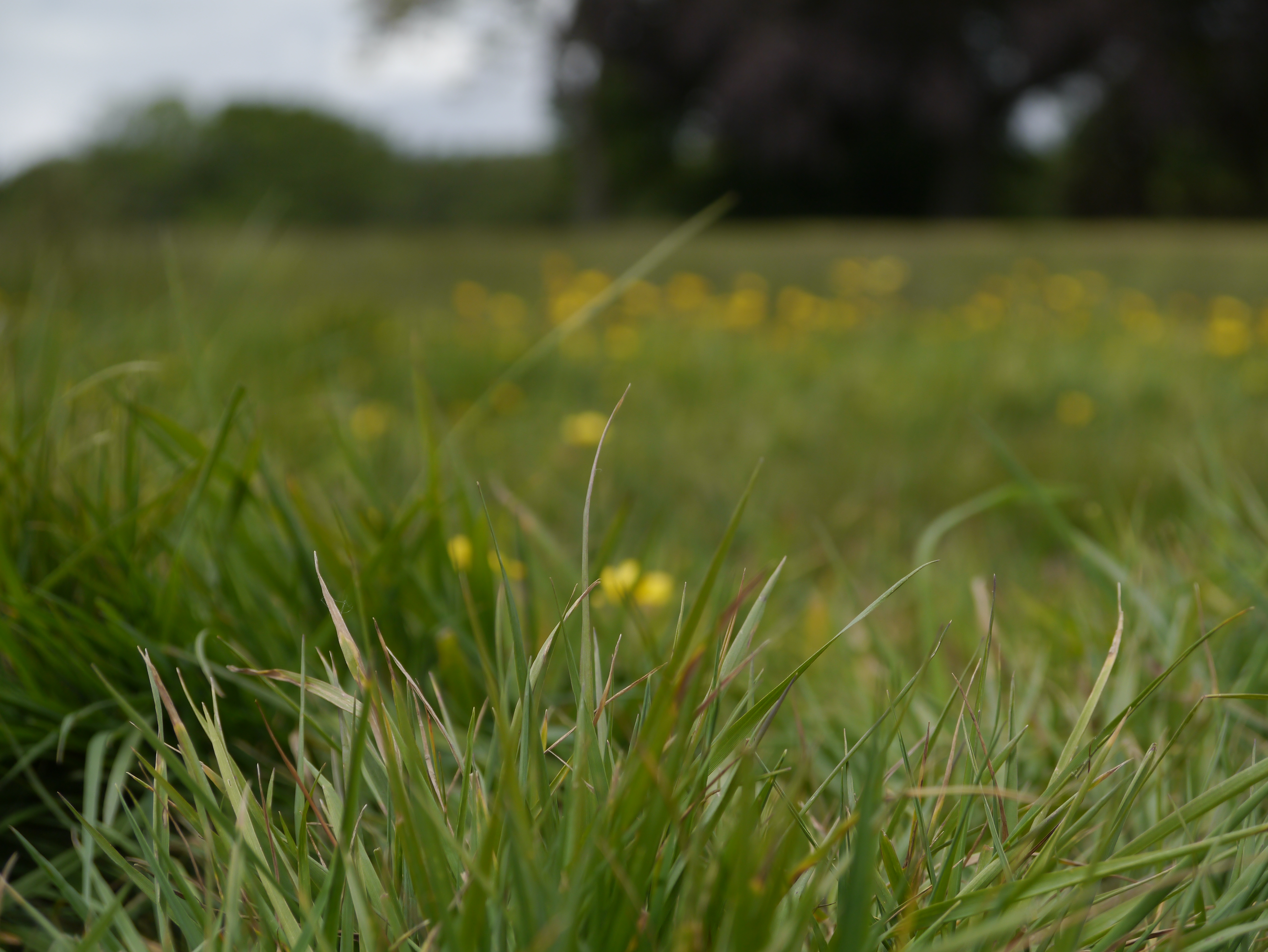 Panasonic Lumix G3 review sample image