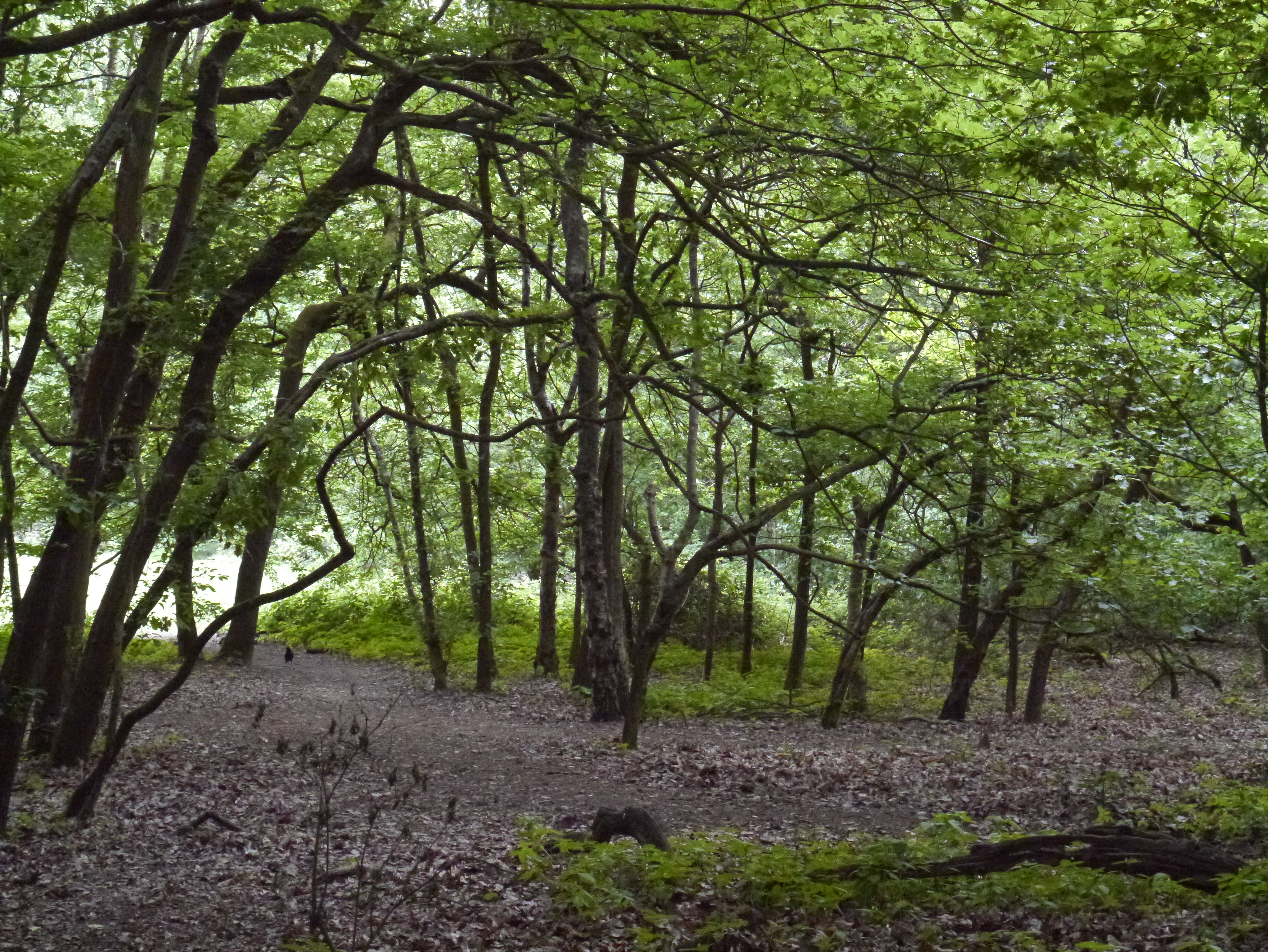 Panasonic Lumix G3 review sample image