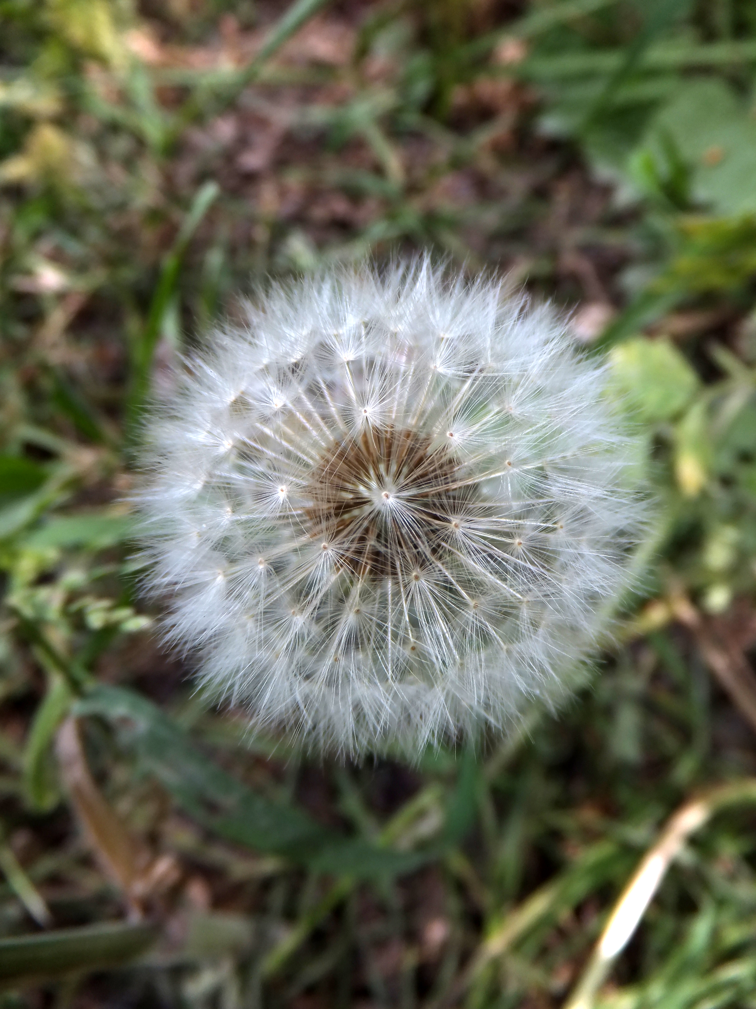 Fujifilm FinePix F550EXR review sample images