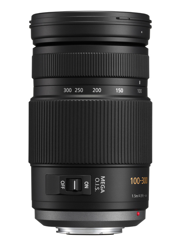 Panasonic Lumix G-Vario 100-300mm f/4-5.6 Mega OIS