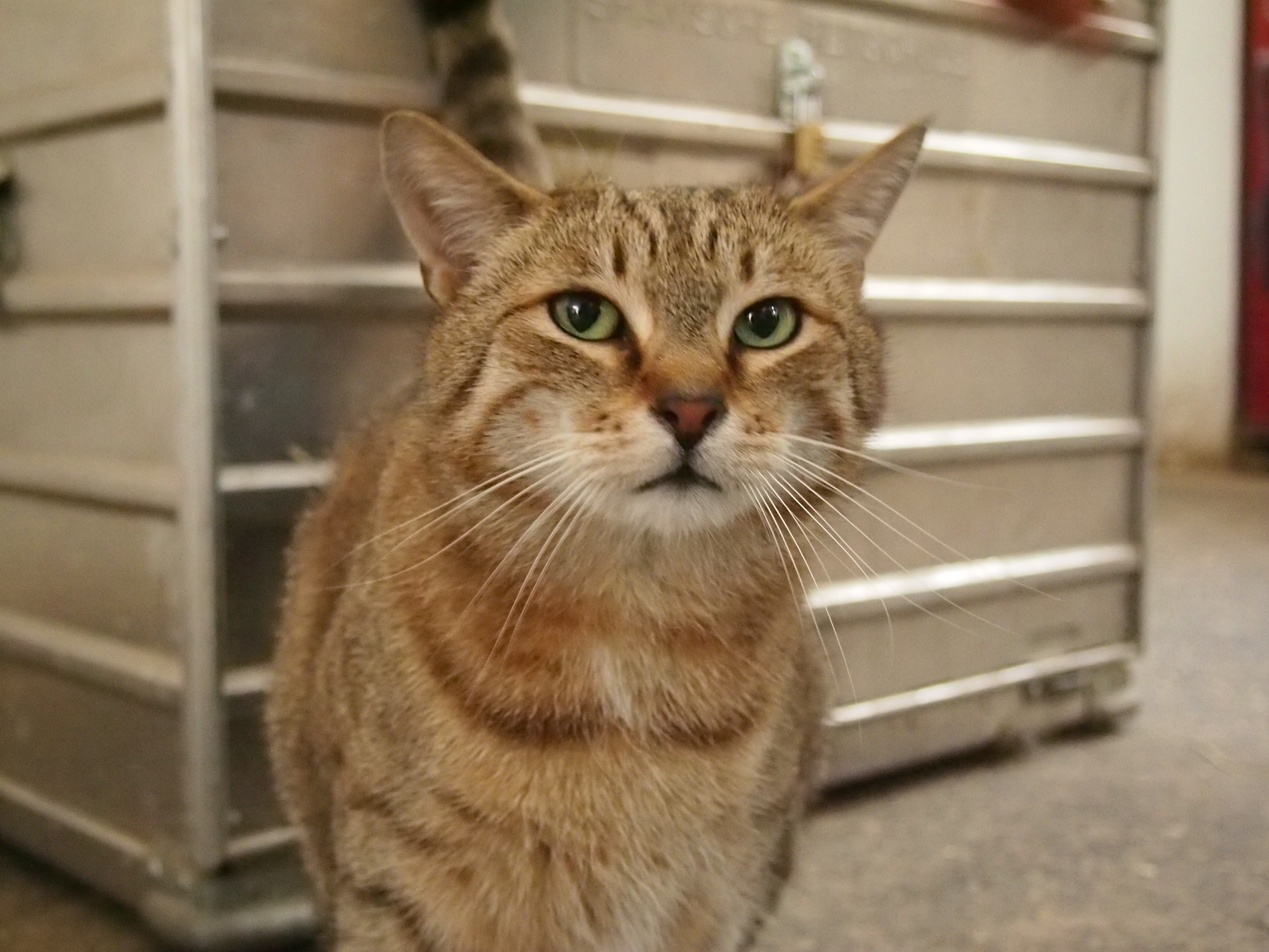 Olympus PEN E-P3 review sample image