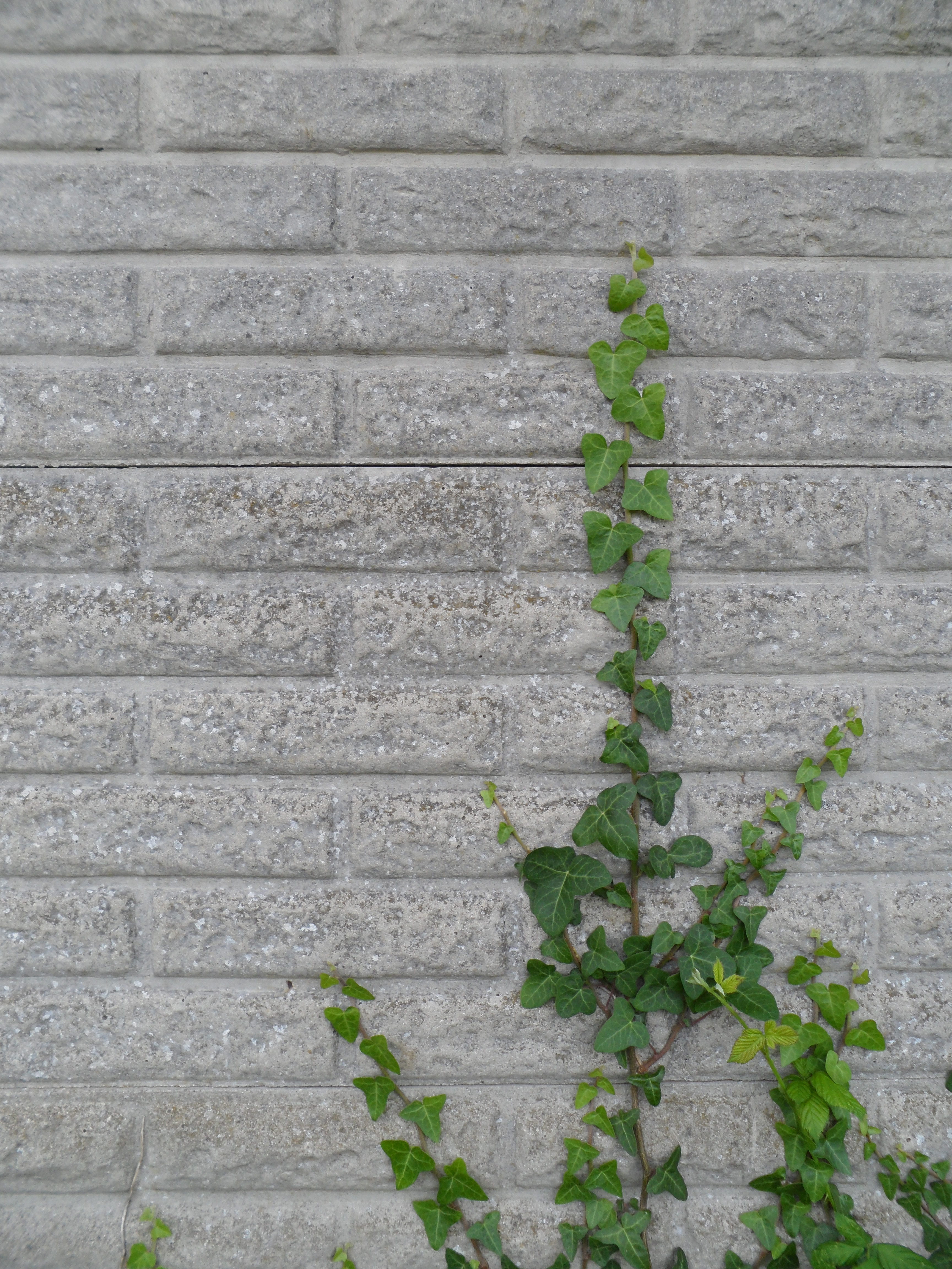 Samsung ST95 review sample image