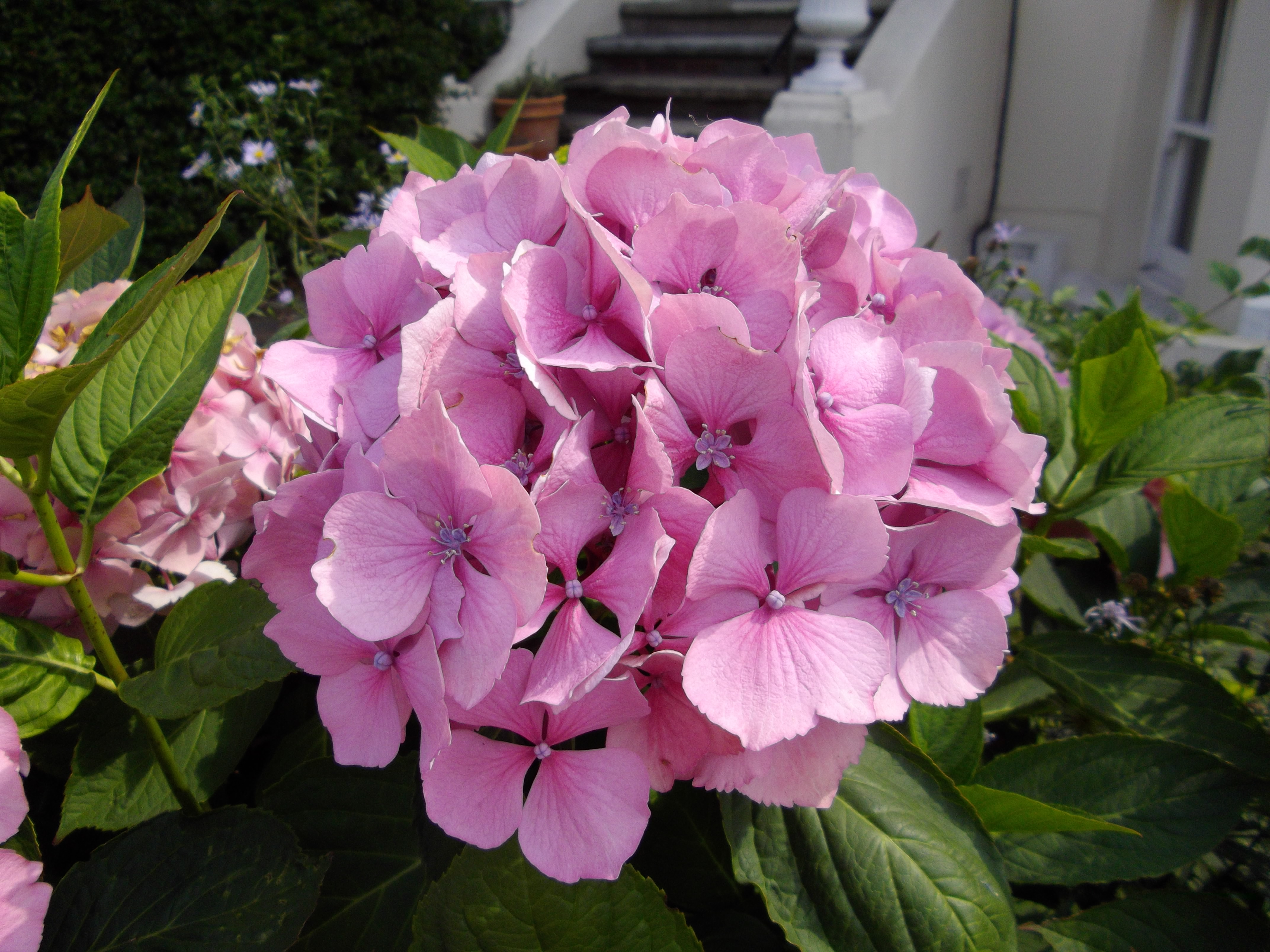 Pentax Optio RS1500 Review Gallery - Test Images