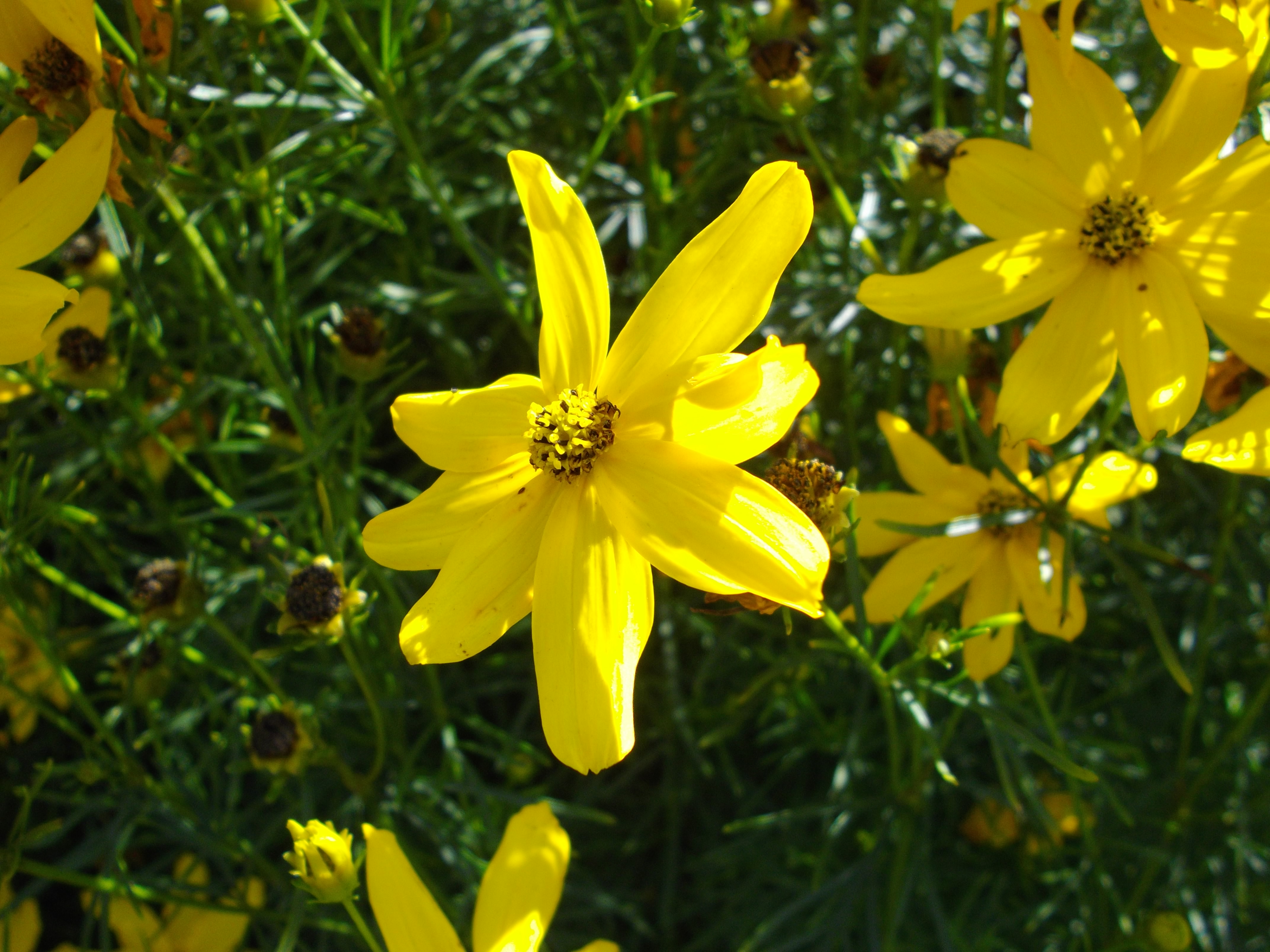 Pentax Optio RS1500 Review Gallery - Test Images