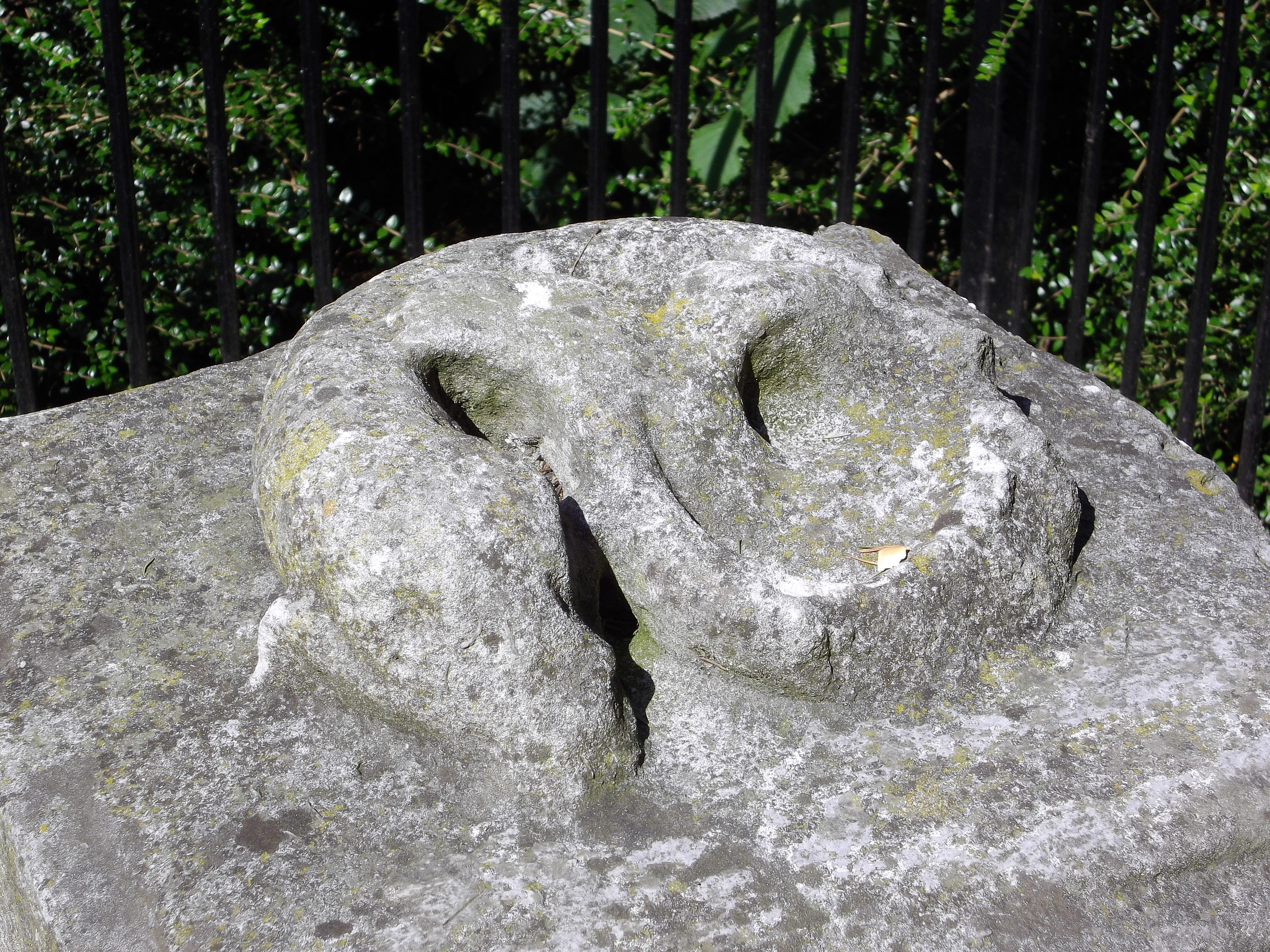 Pentax Optio RS1500 Review Gallery - Test Images