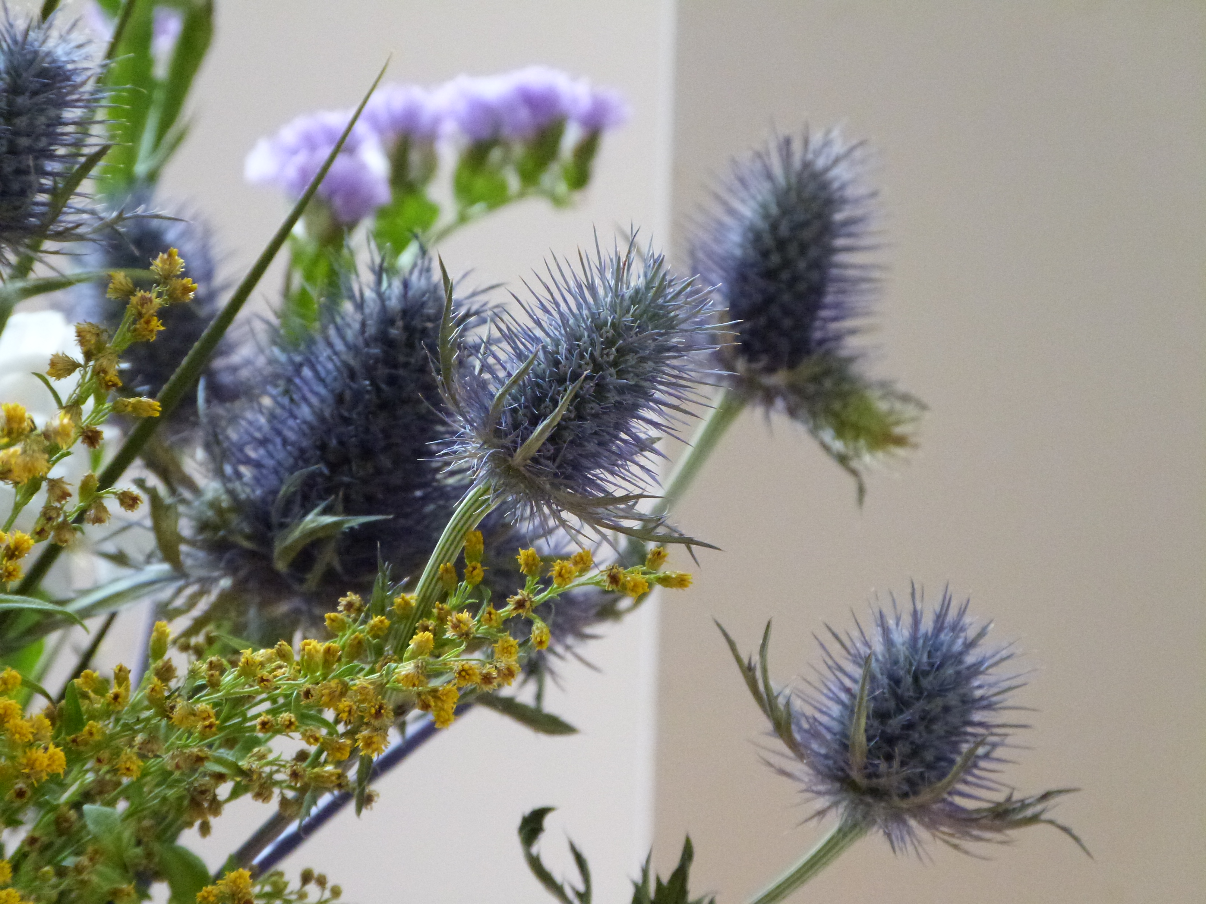 Panasonic Lumix FZ48 review sample image