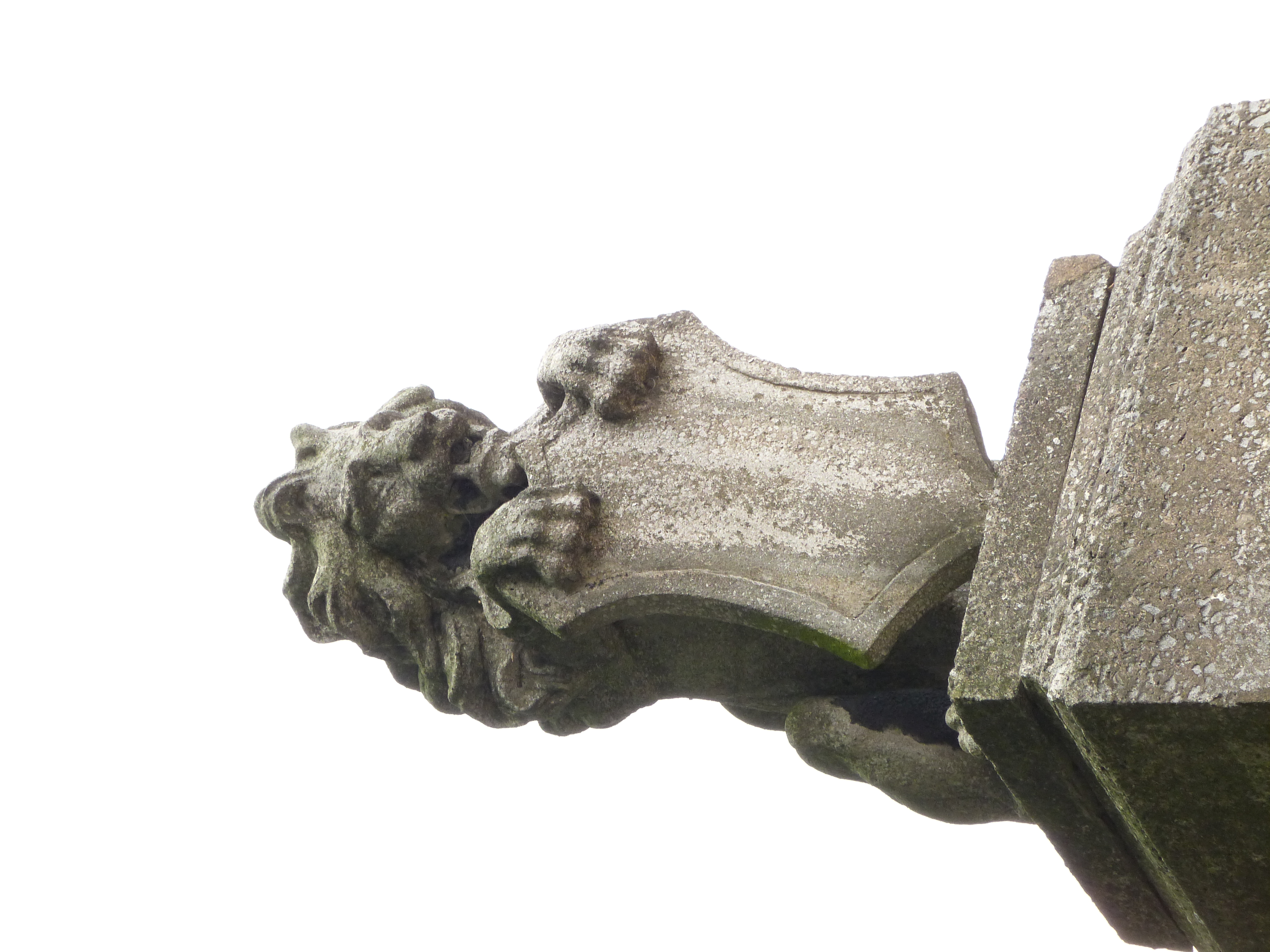 Panasonic Lumix FZ48 review sample image