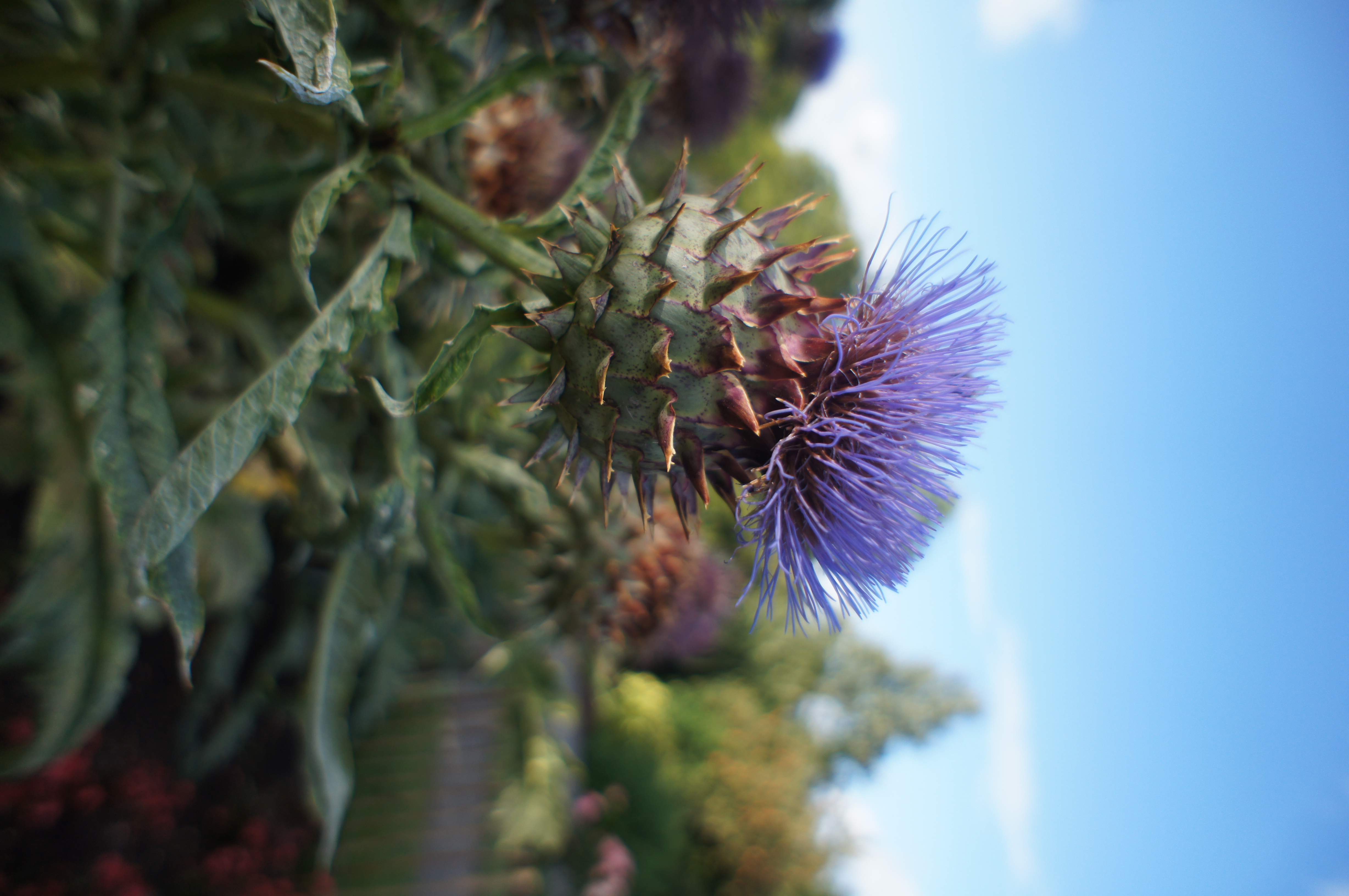 Sony NEX-C3 review sample image