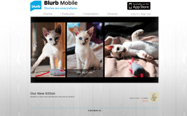 blurbmobile1.jpg