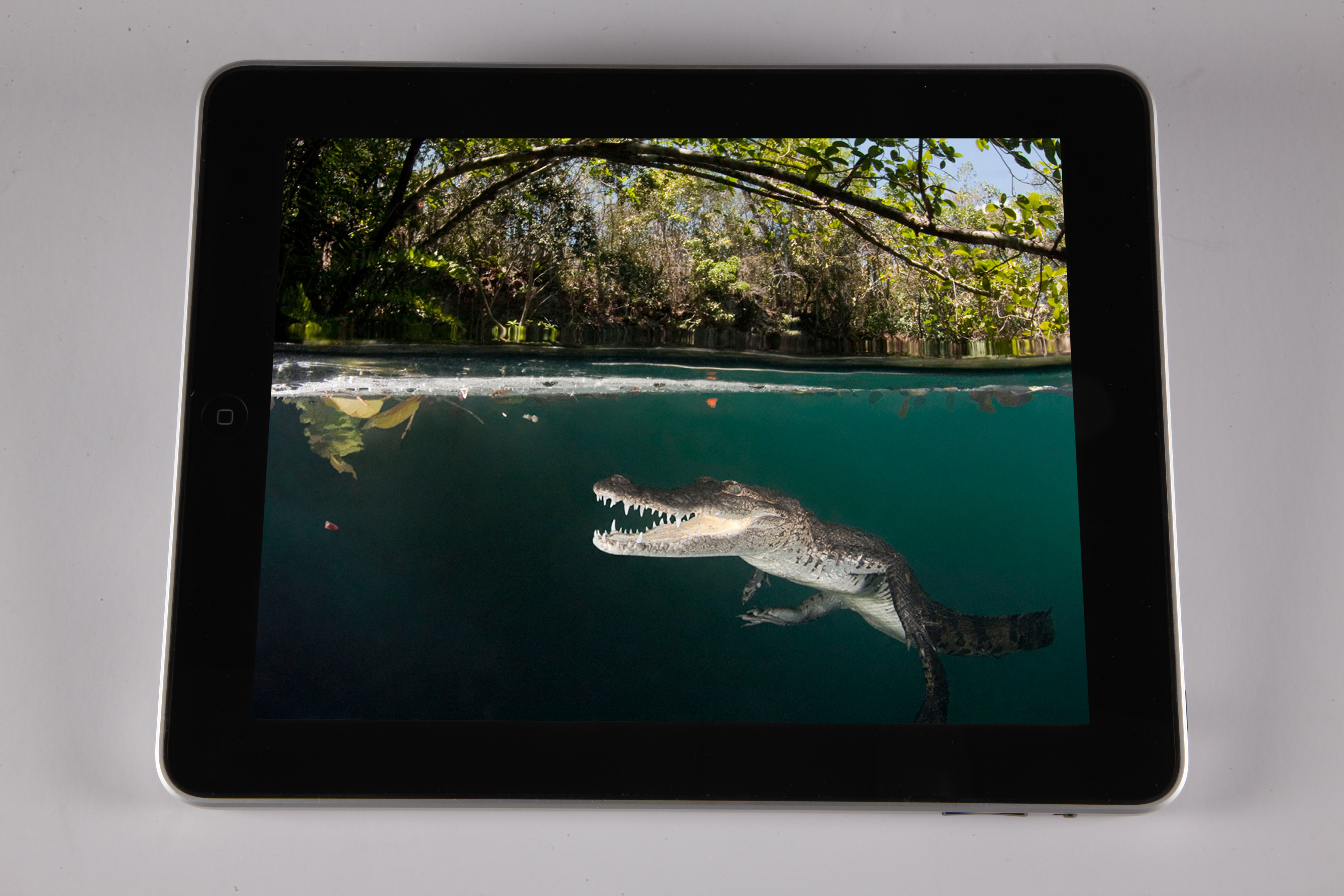 iPadwithGuardian.jpg